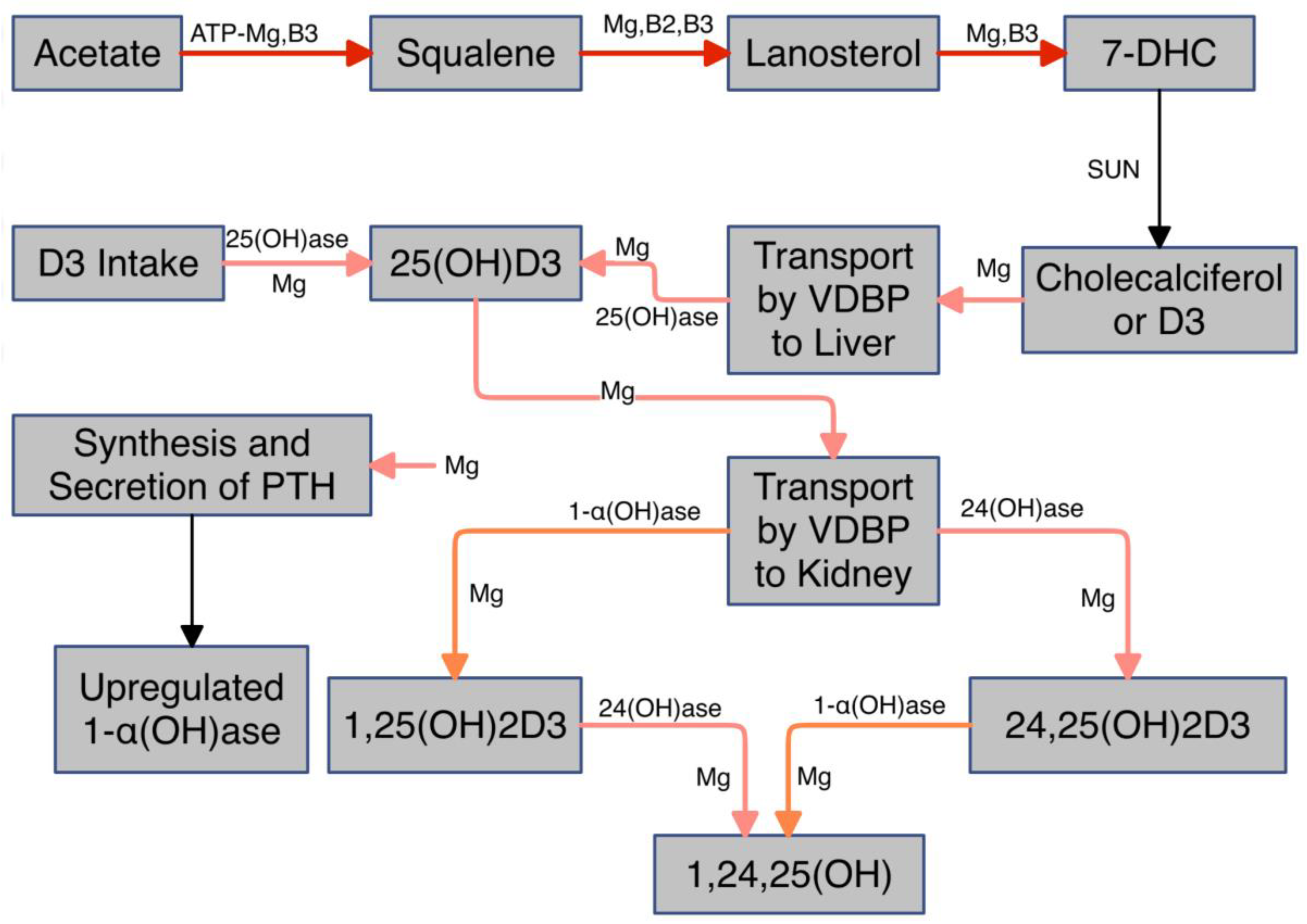 Preprints 144892 g001