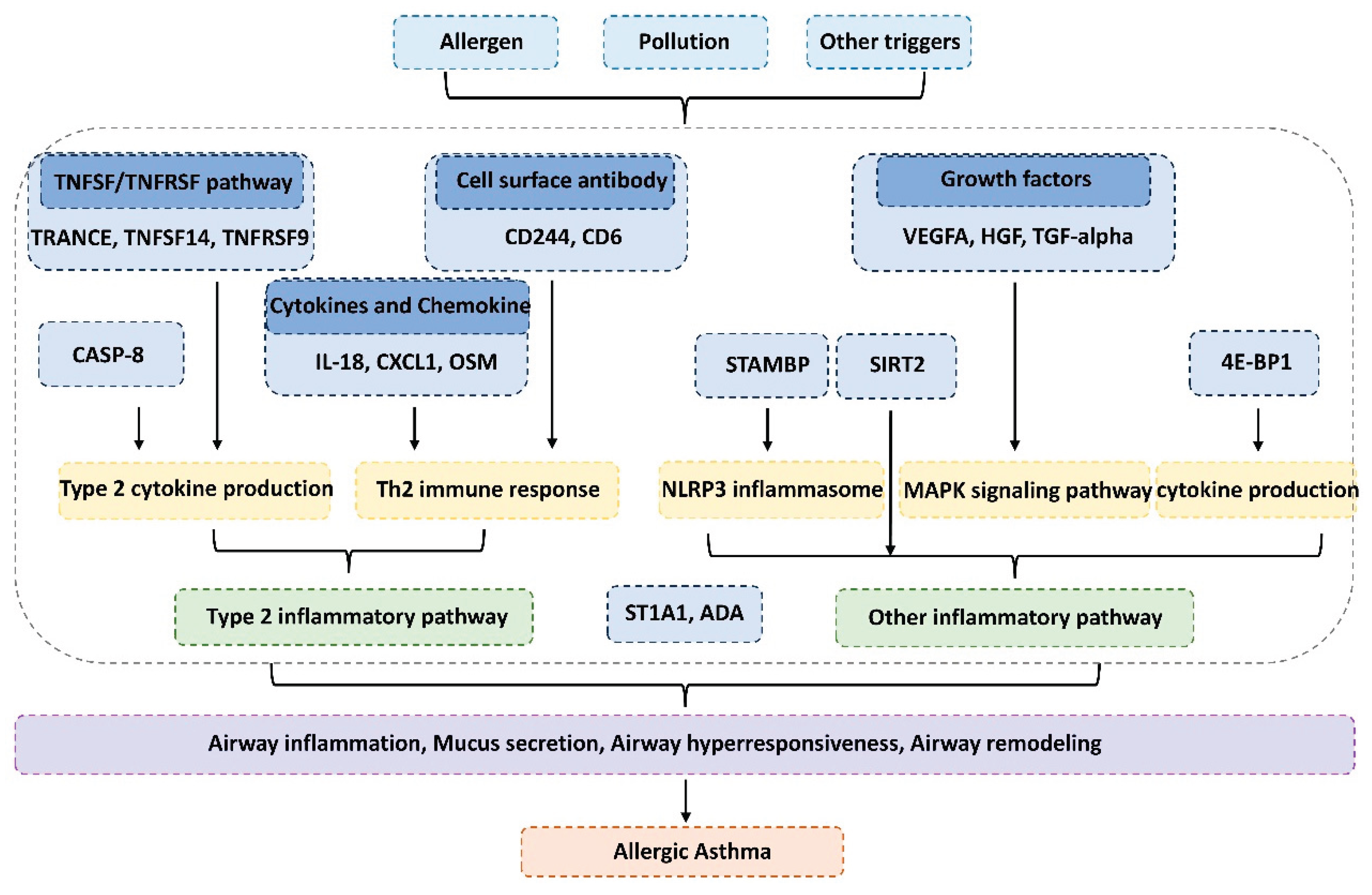 Preprints 161783 g006
