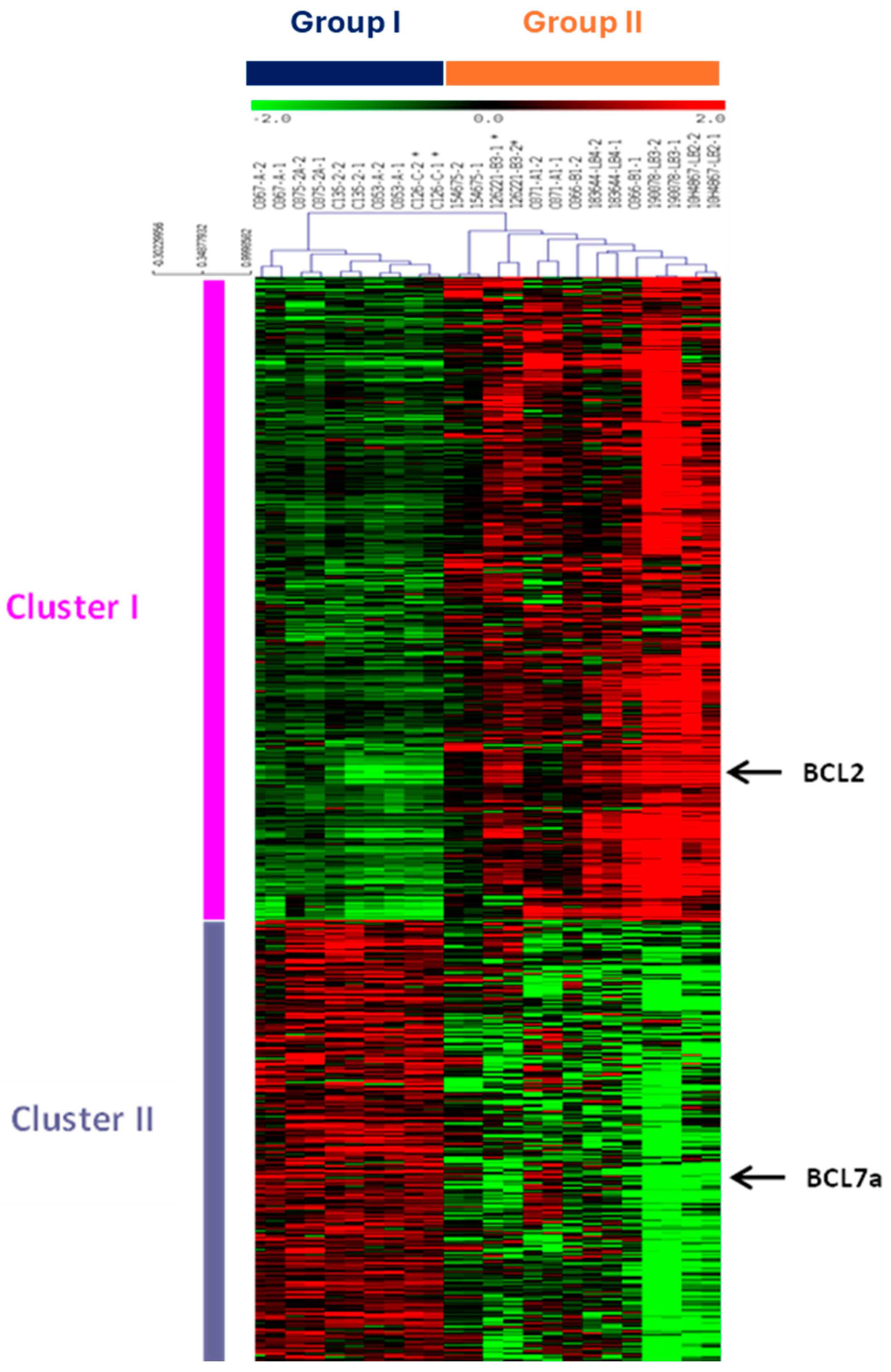 Preprints 139047 g001