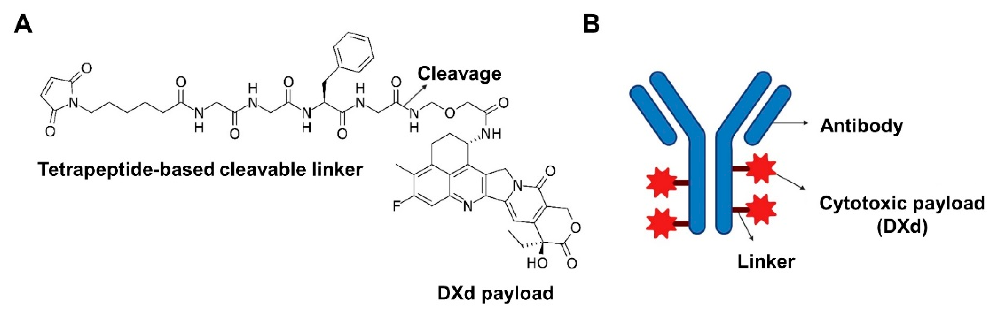 Preprints 163291 g001