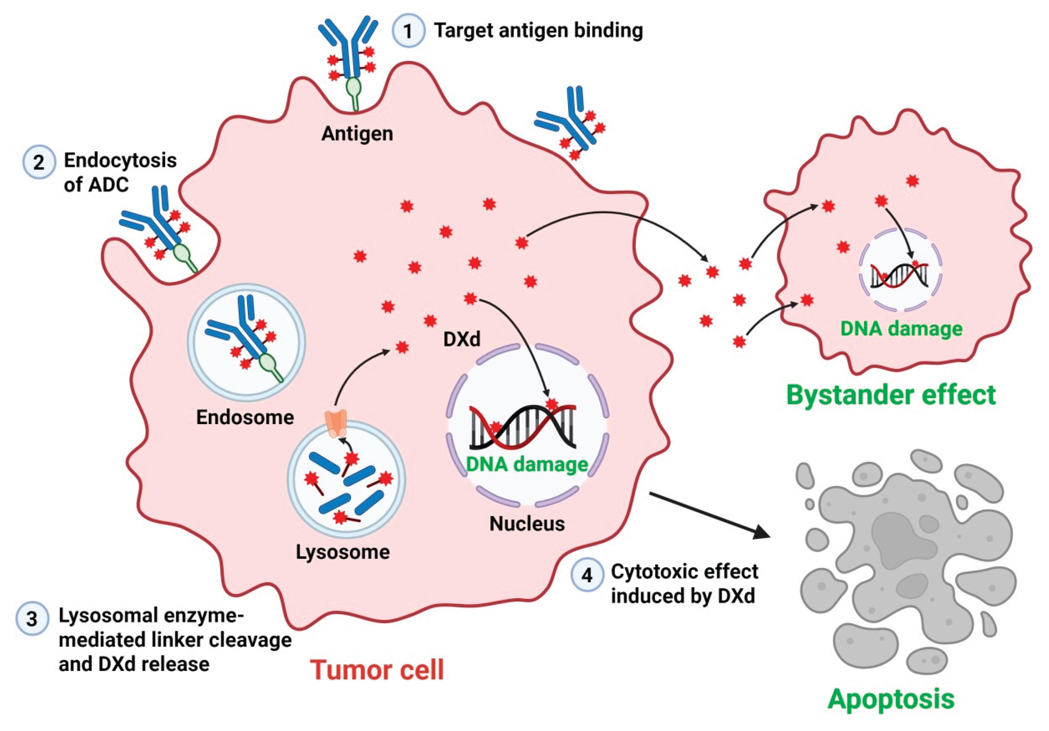 Preprints 163291 g002