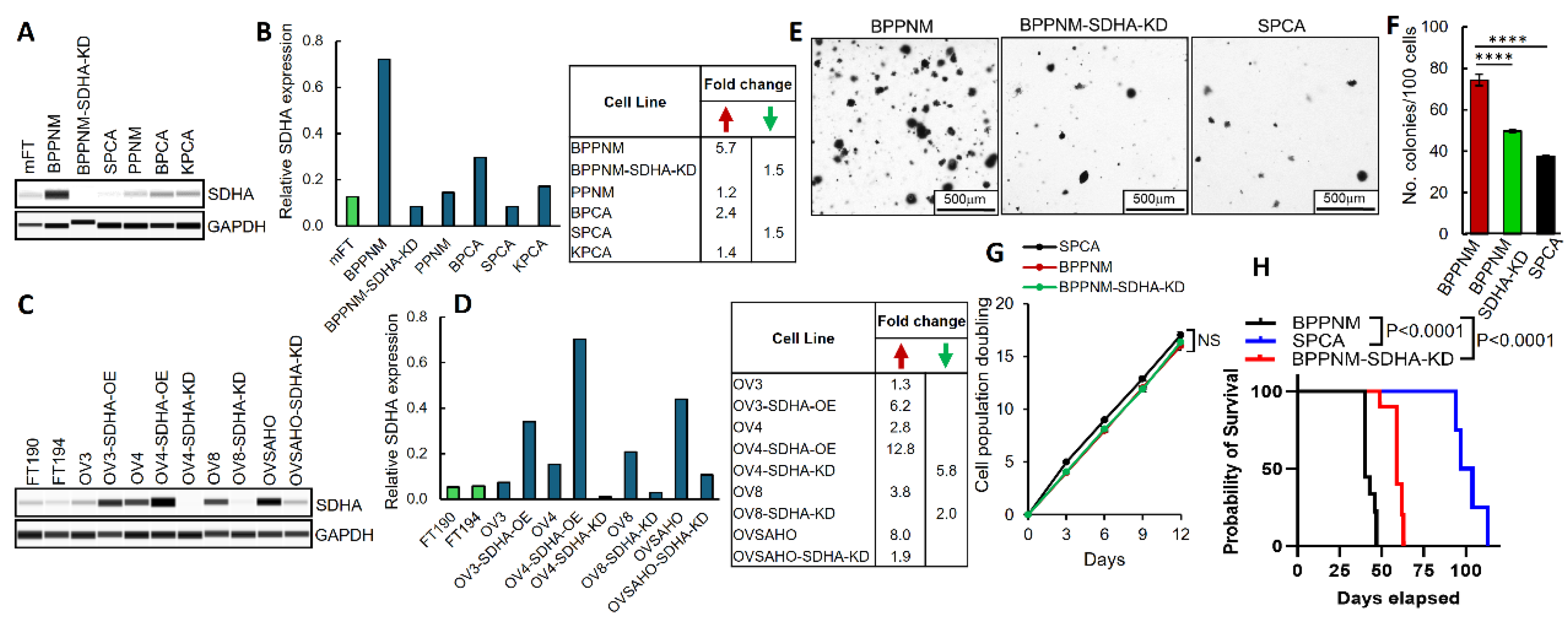 Preprints 159824 g001