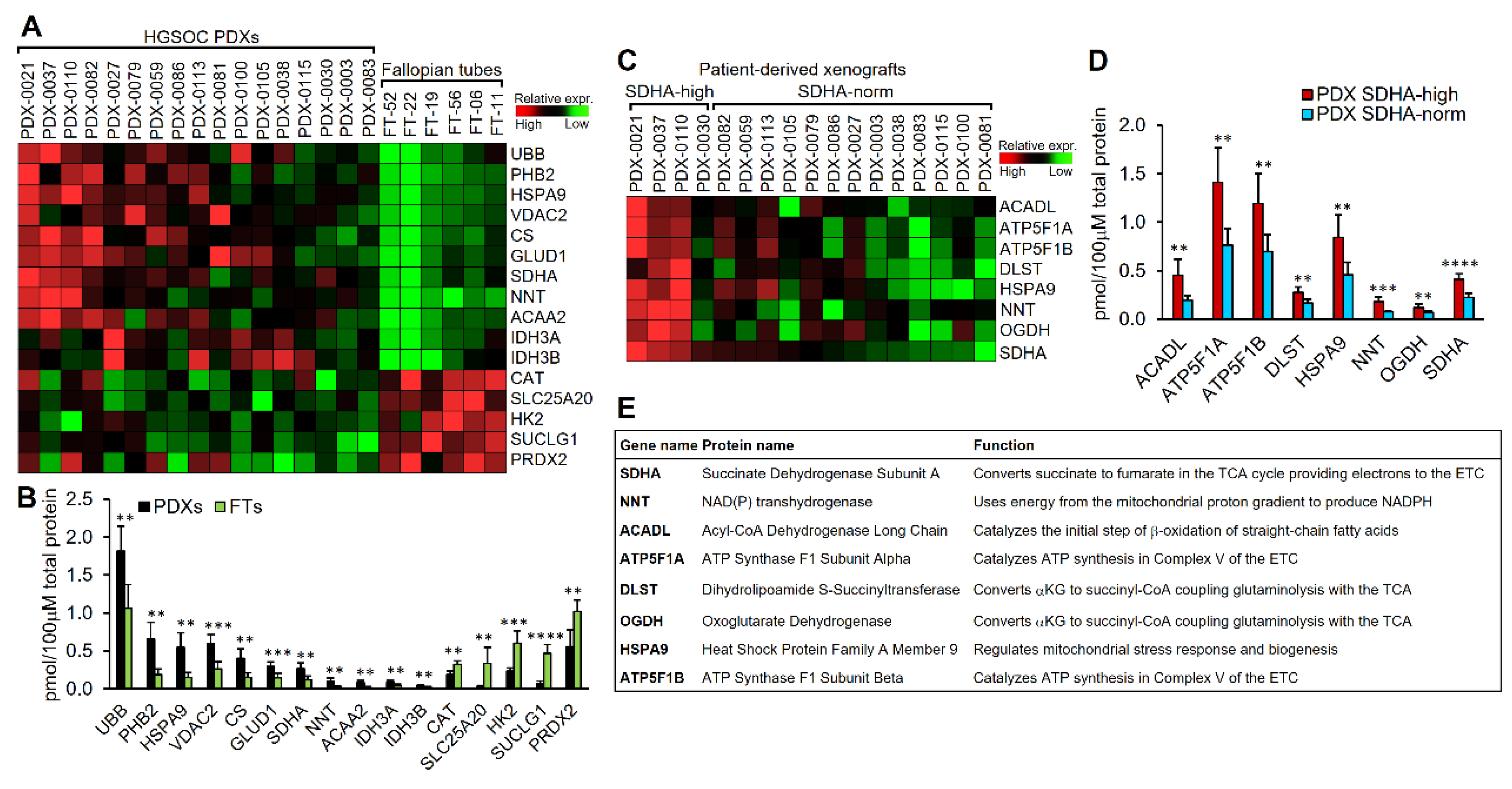 Preprints 159824 g002