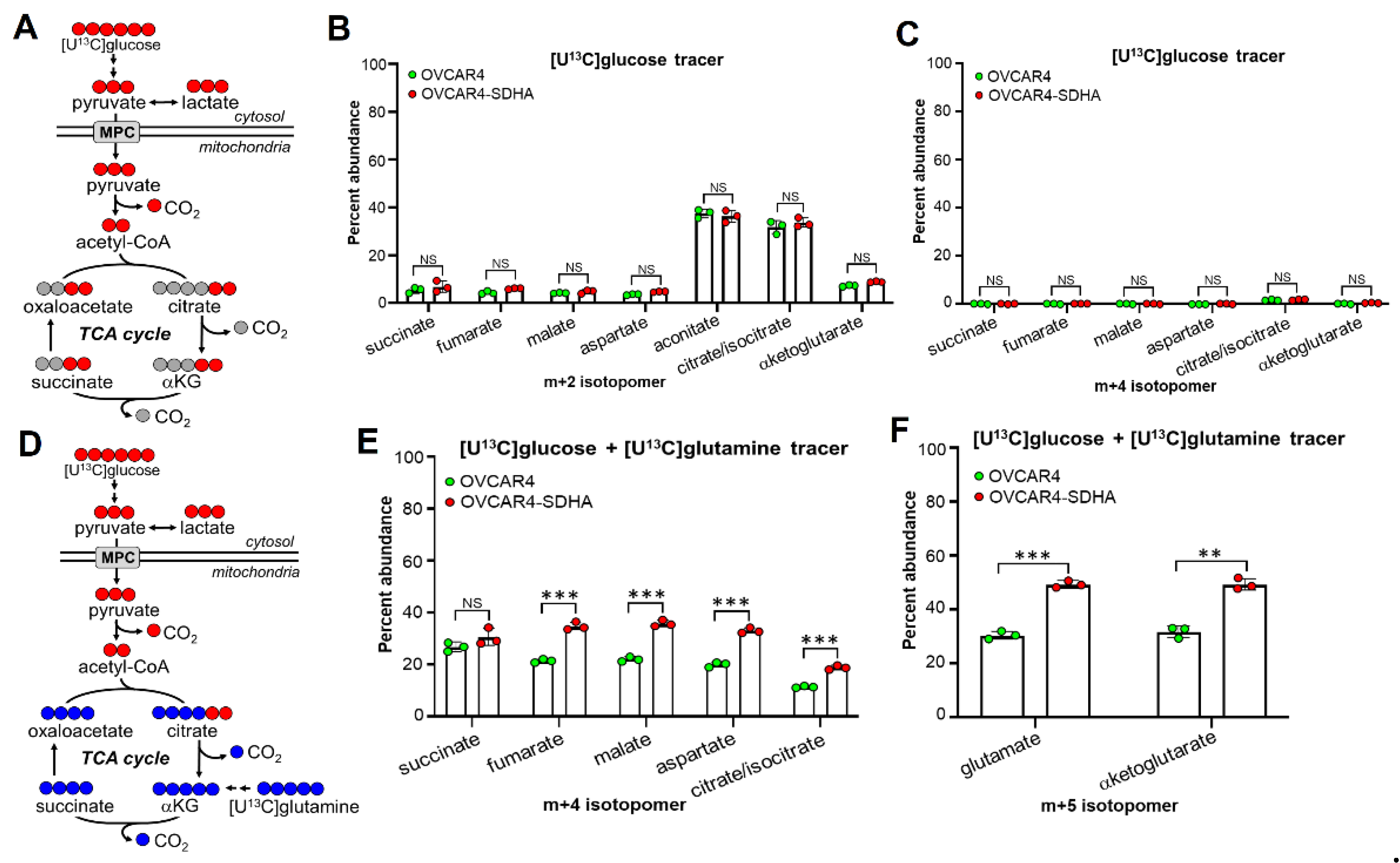 Preprints 159824 g003