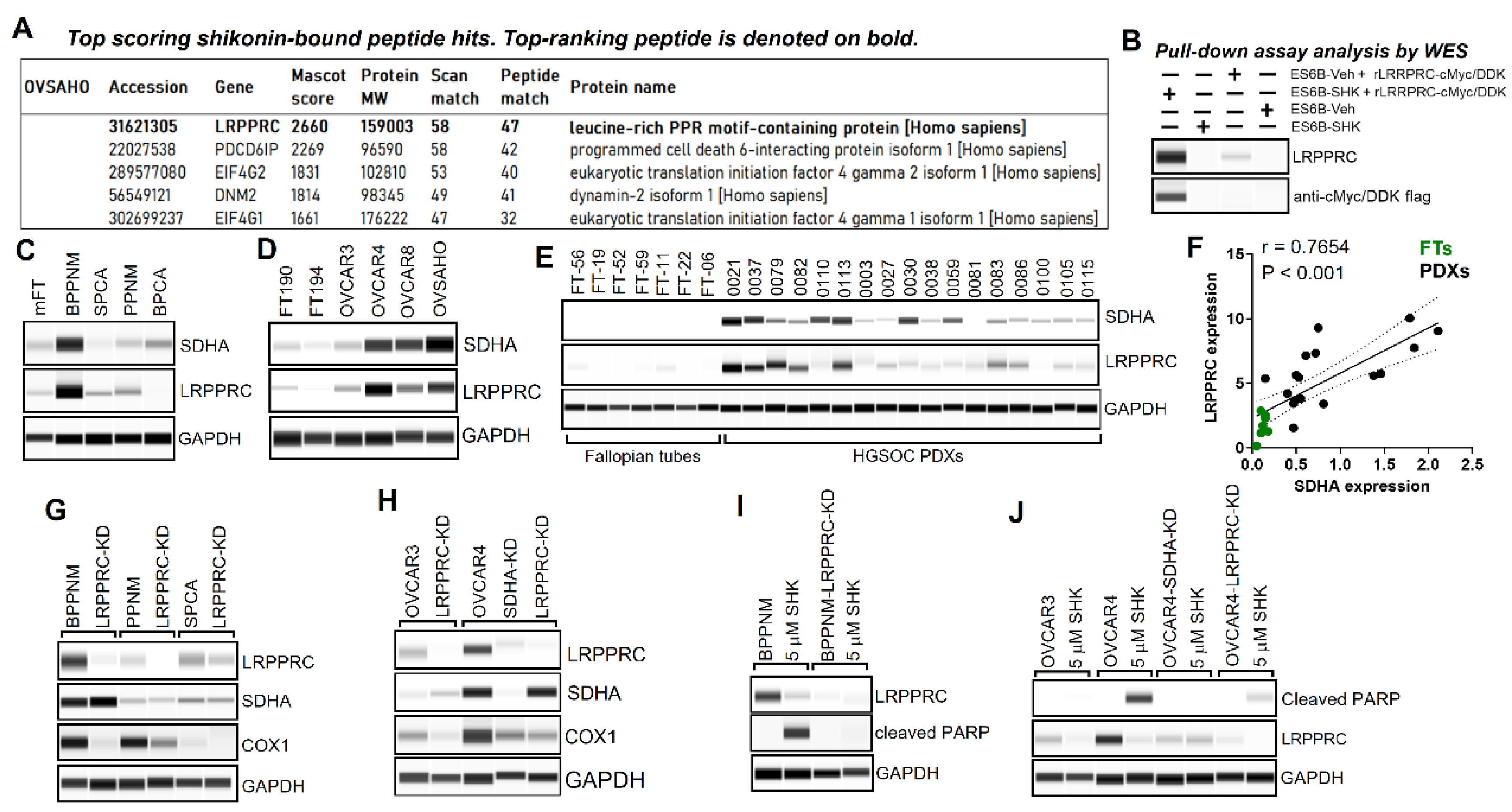 Preprints 159824 g004