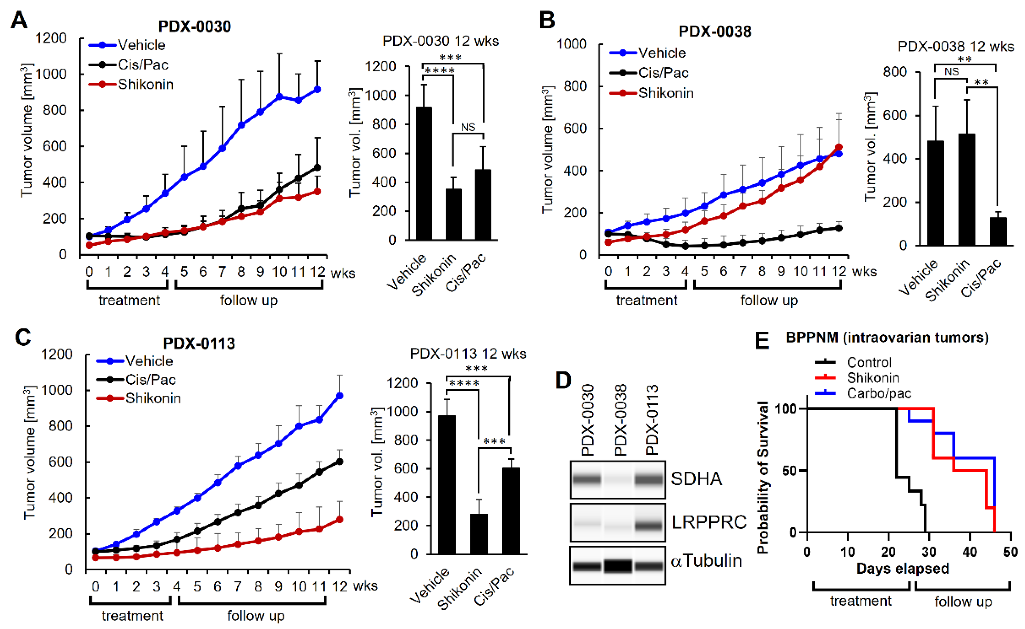 Preprints 159824 g005