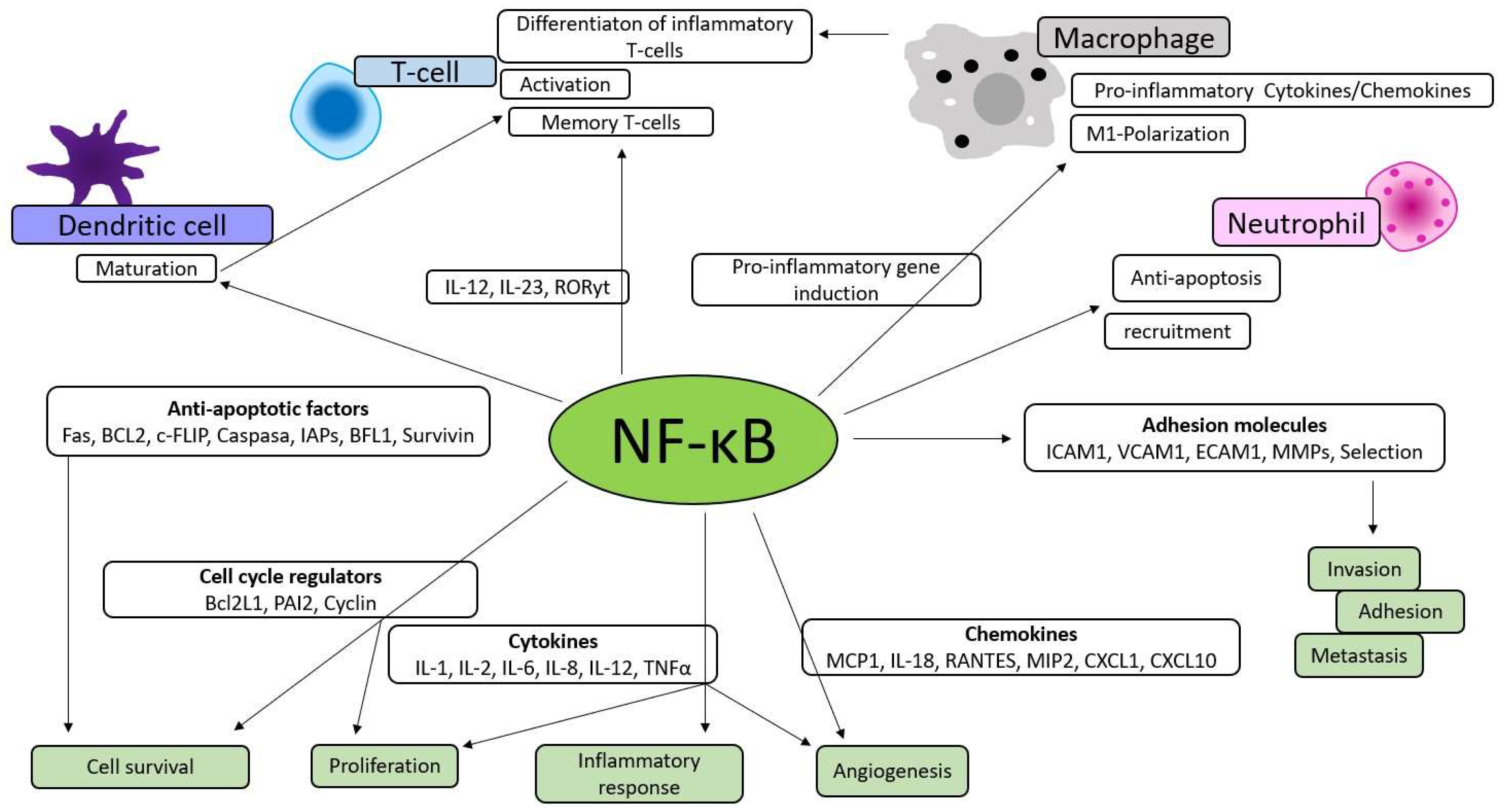 Preprints 141178 g001