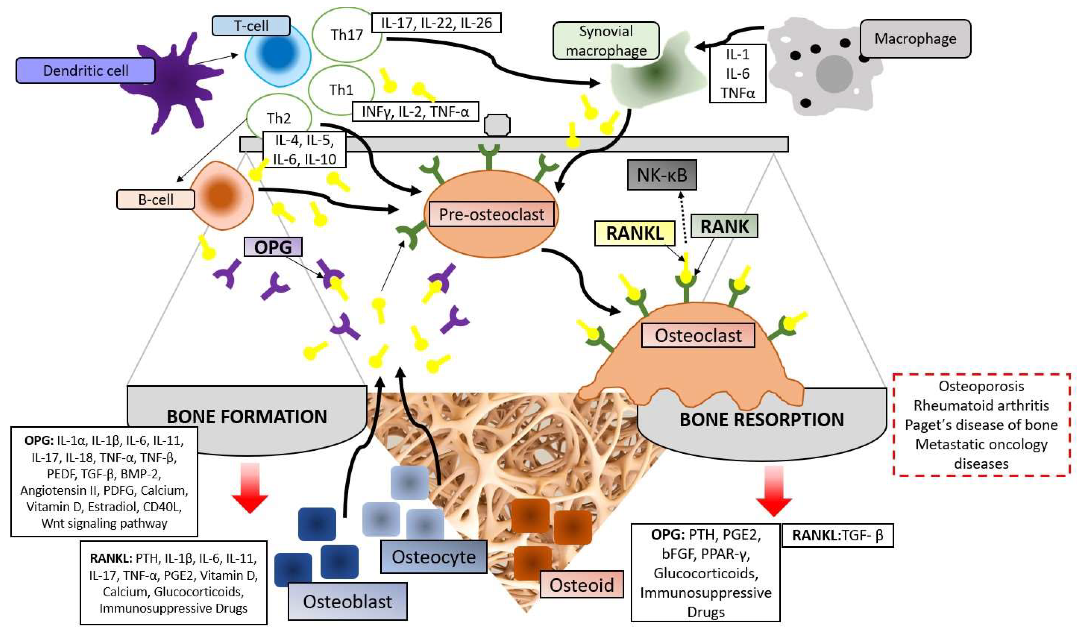 Preprints 141178 g002