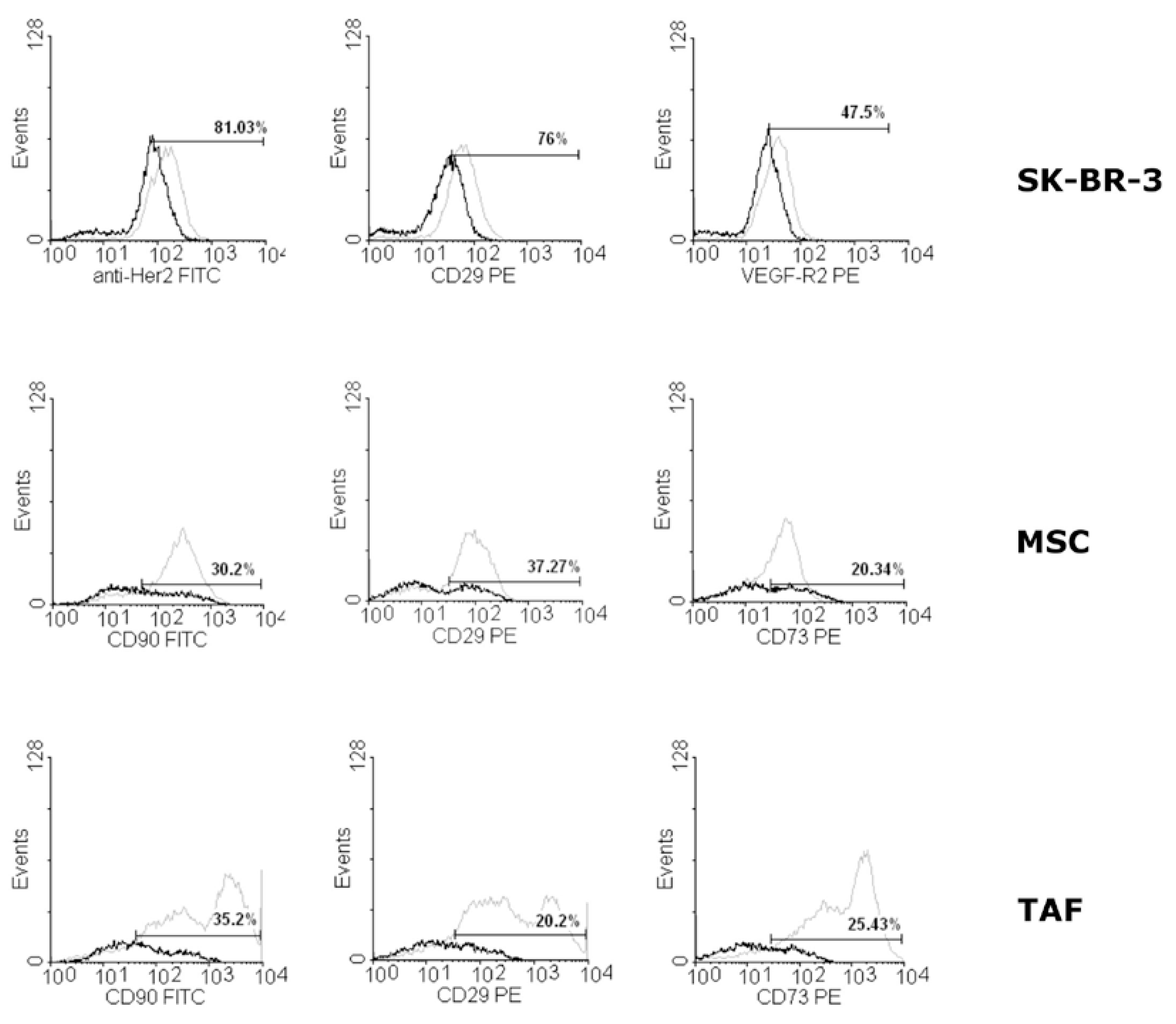 Preprints 74874 g002