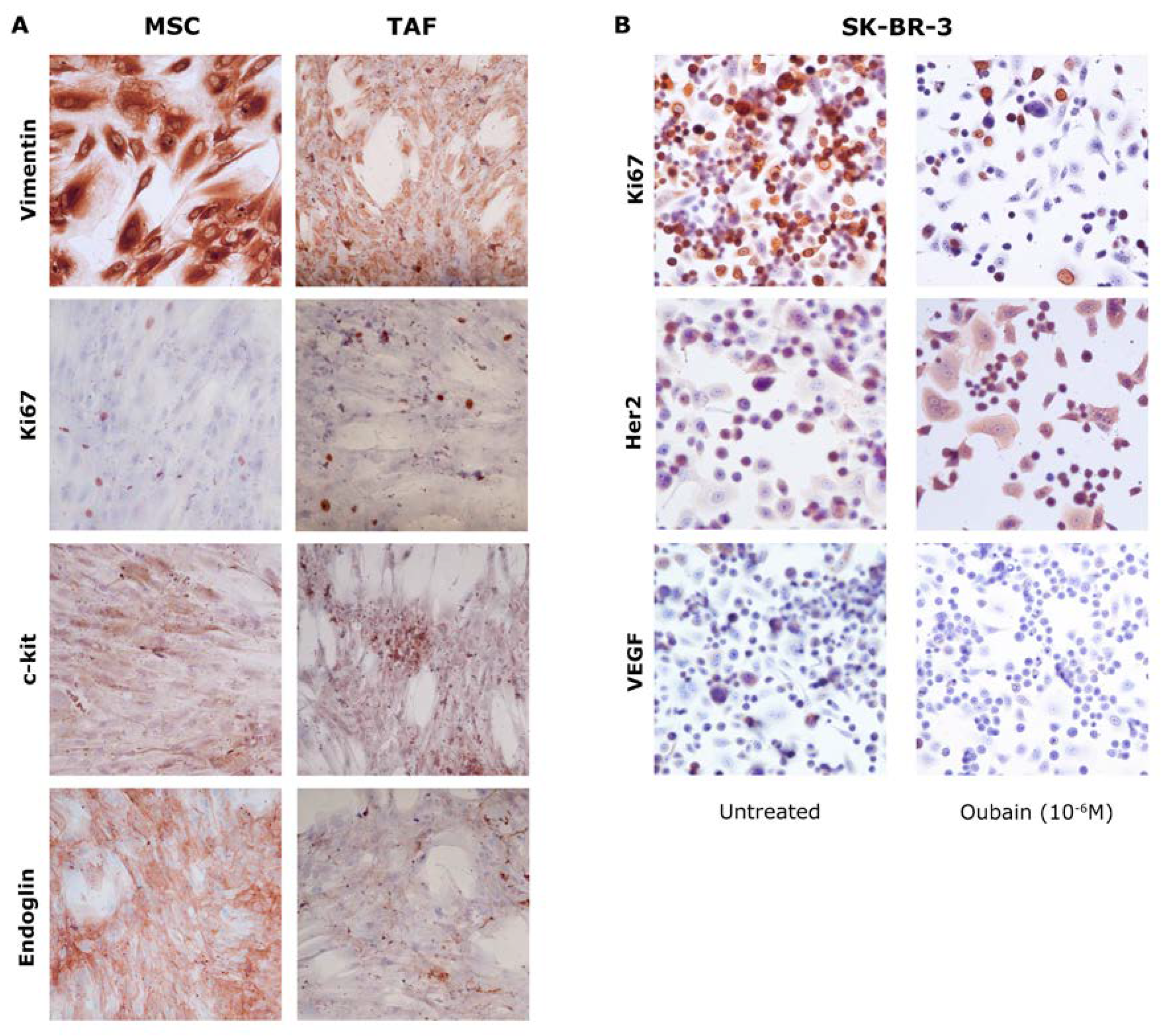 Preprints 74874 g003