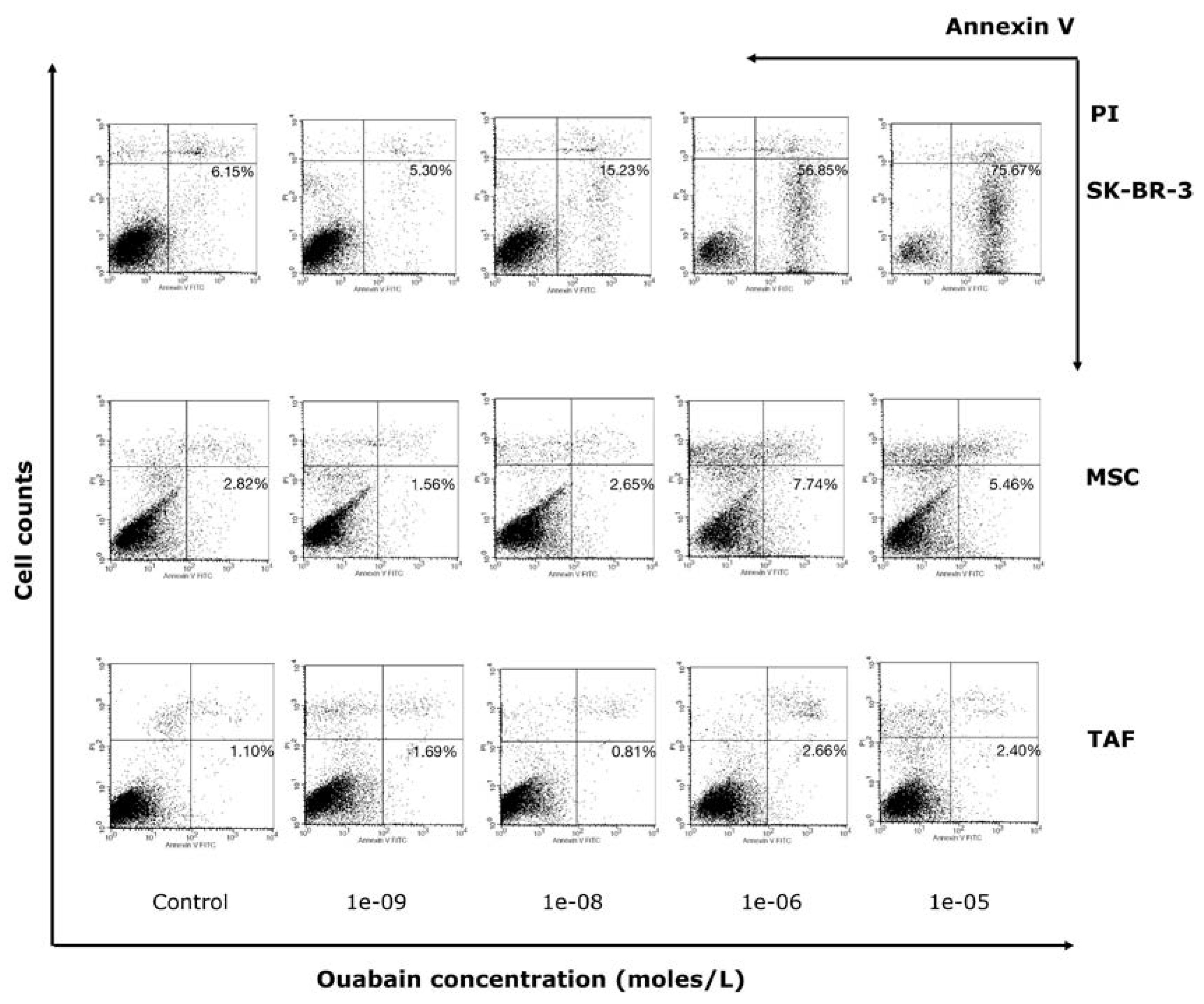 Preprints 74874 g004