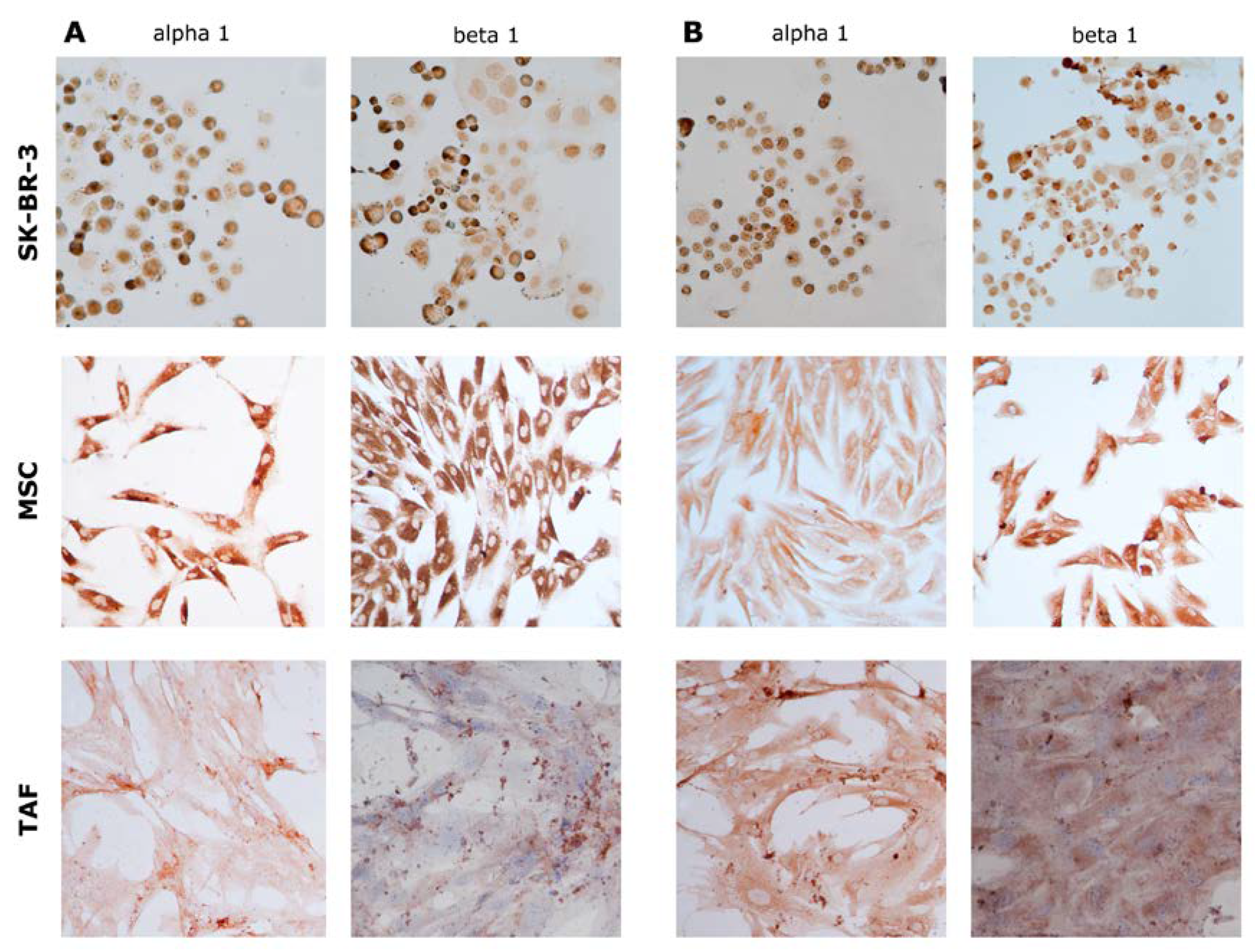 Preprints 74874 g008
