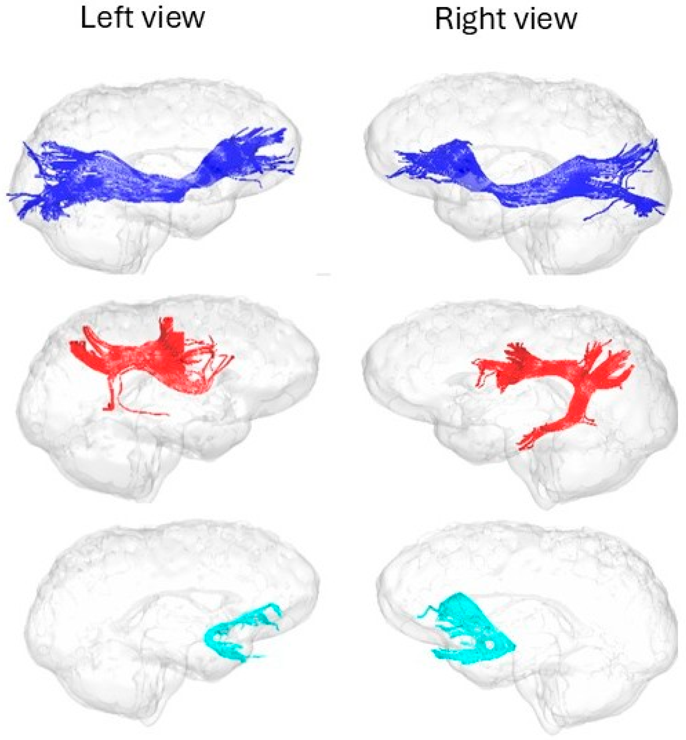 Preprints 208347 g003