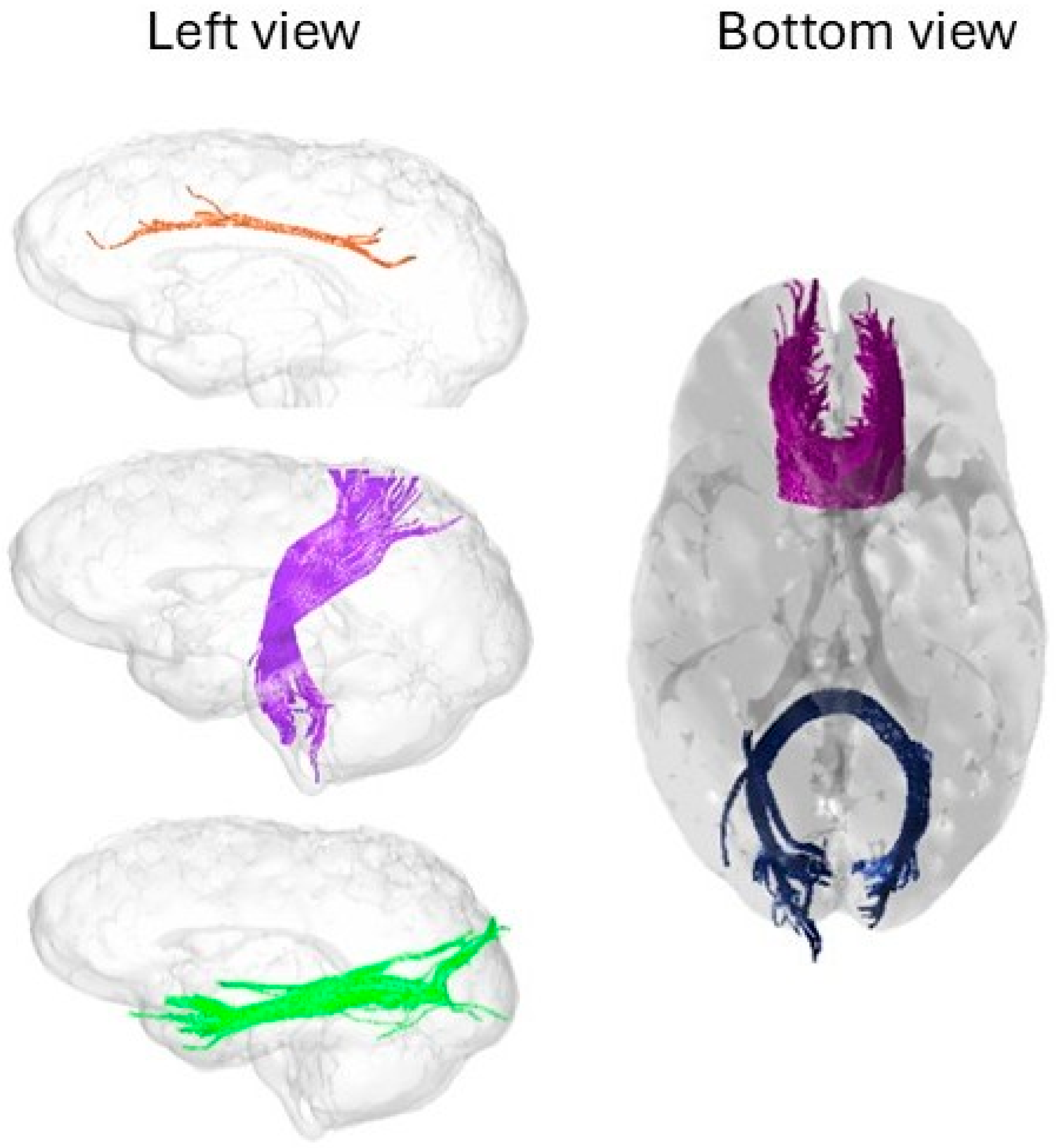 Preprints 208347 g004