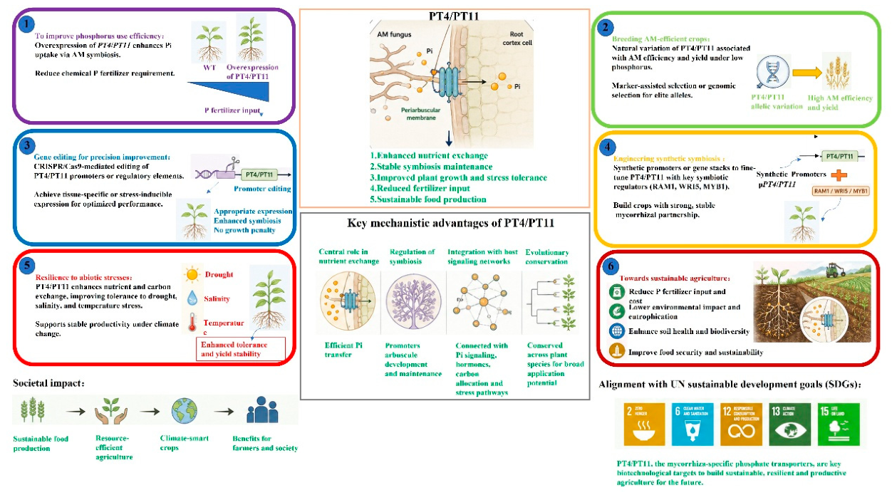 Preprints 228090 g003 Preprints 228090 g003