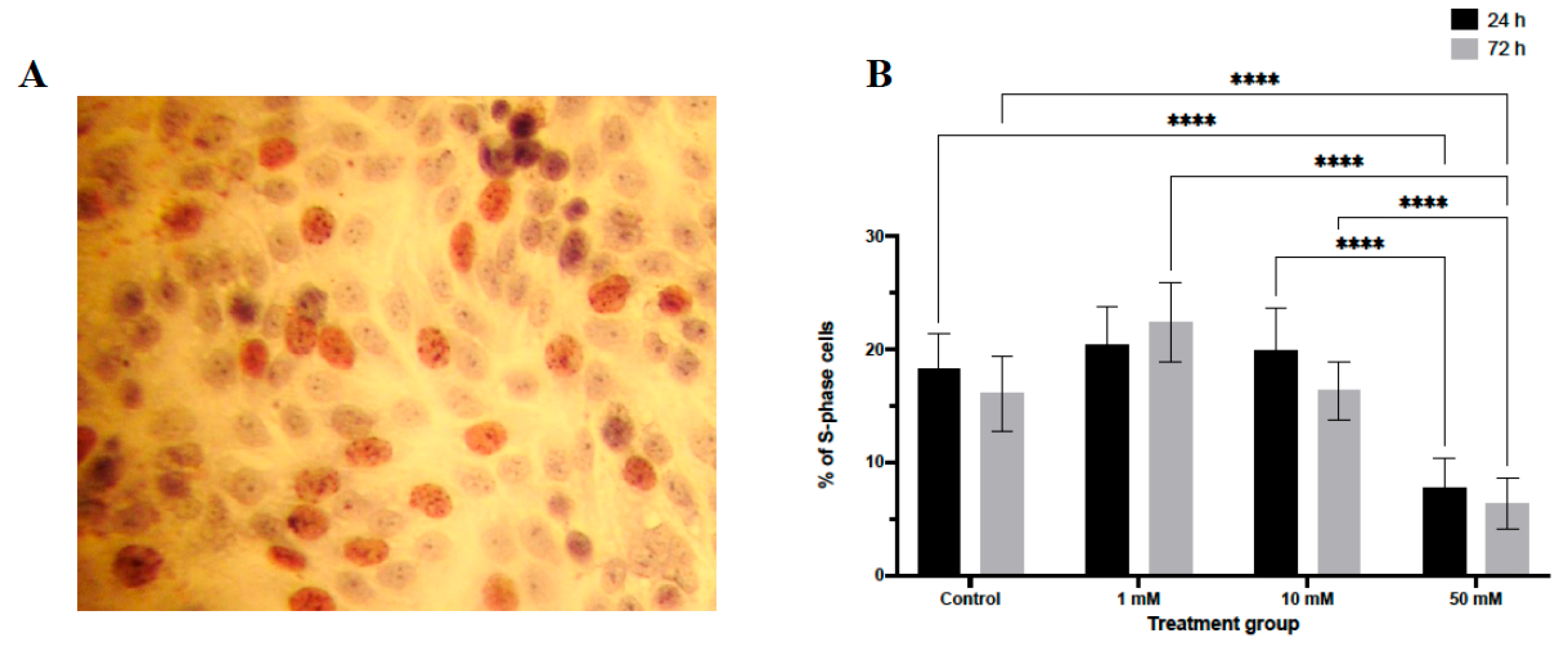 Preprints 198575 g002