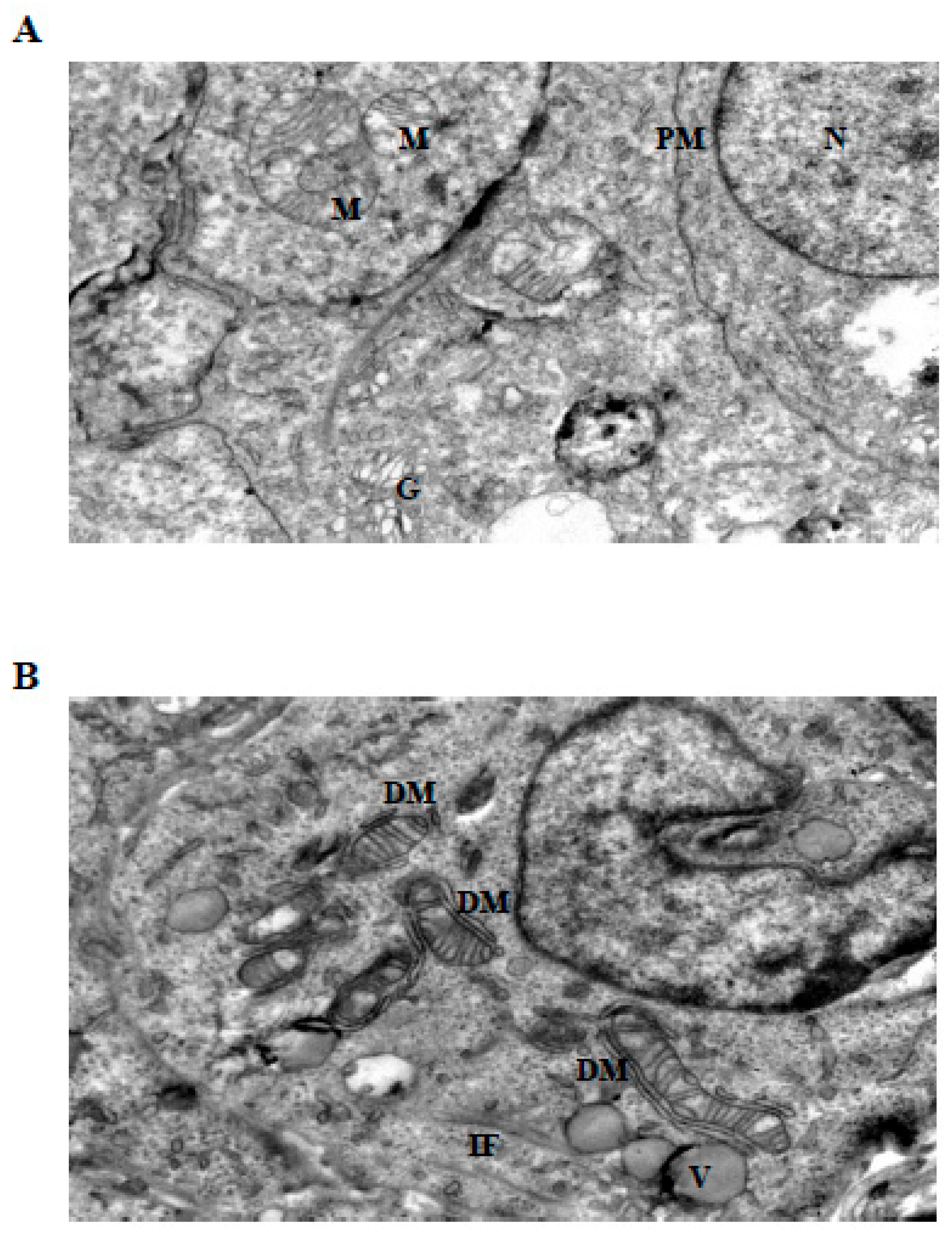 Preprints 198575 g004