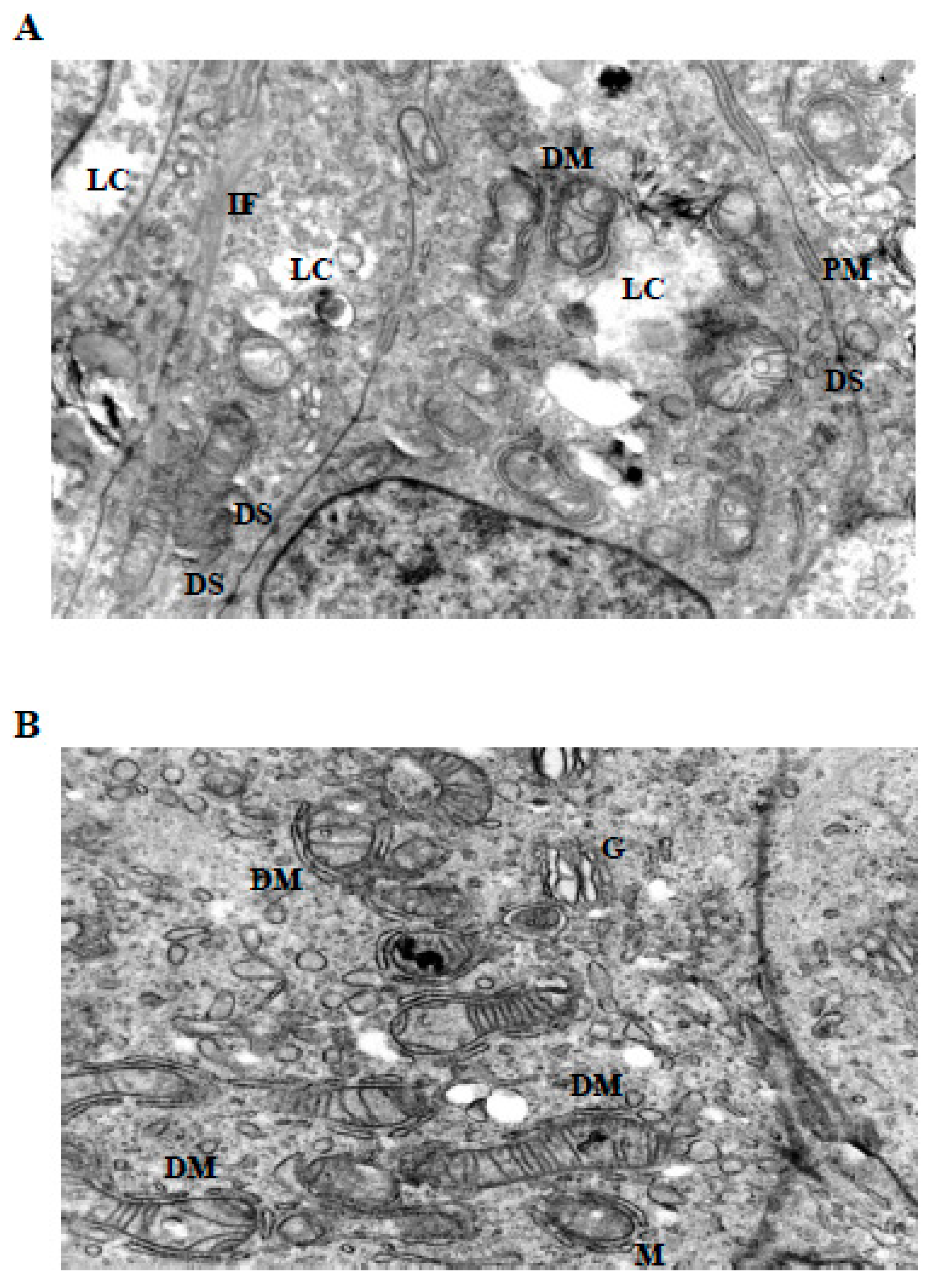 Preprints 198575 g005