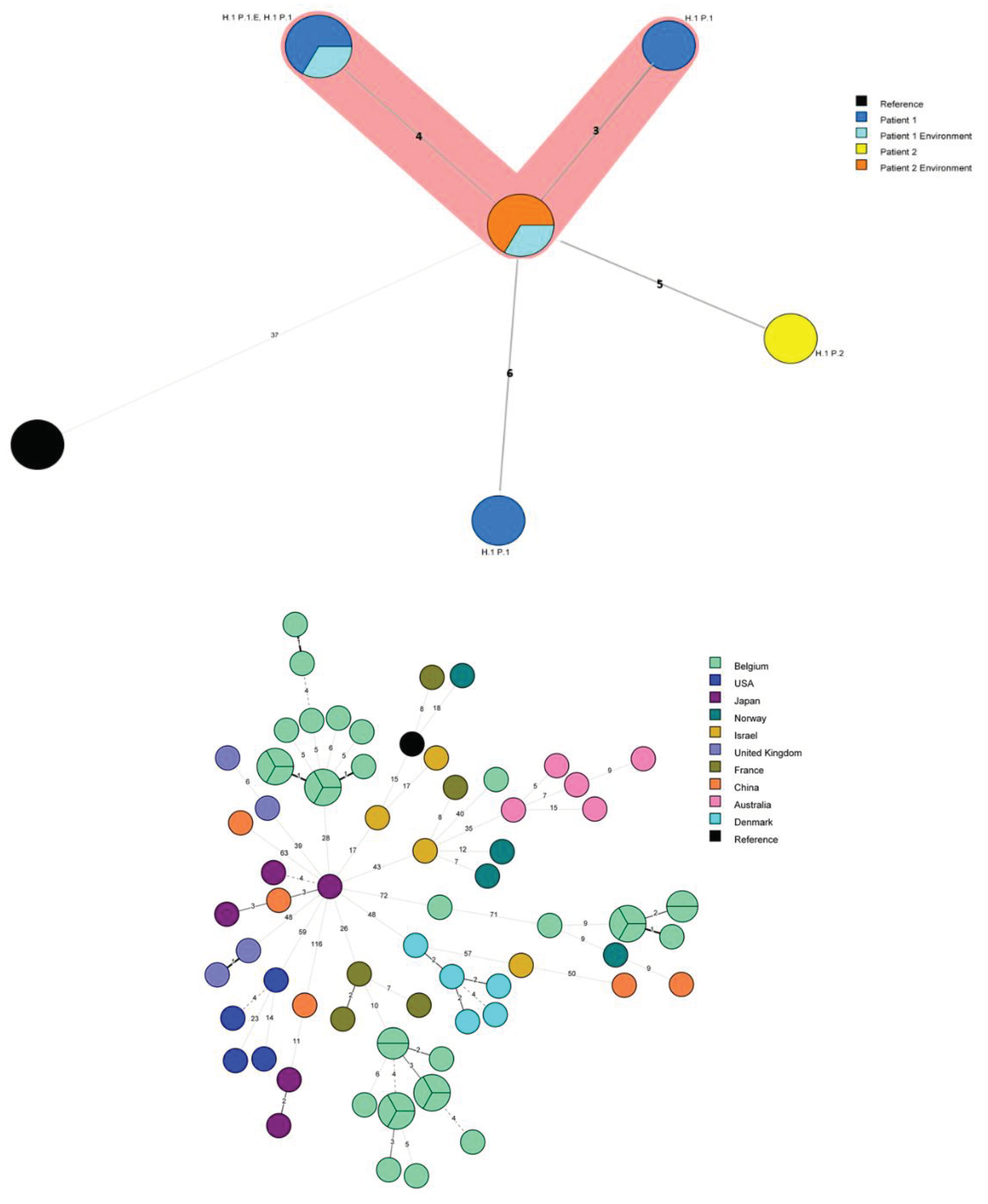 Preprints 102660 g001a