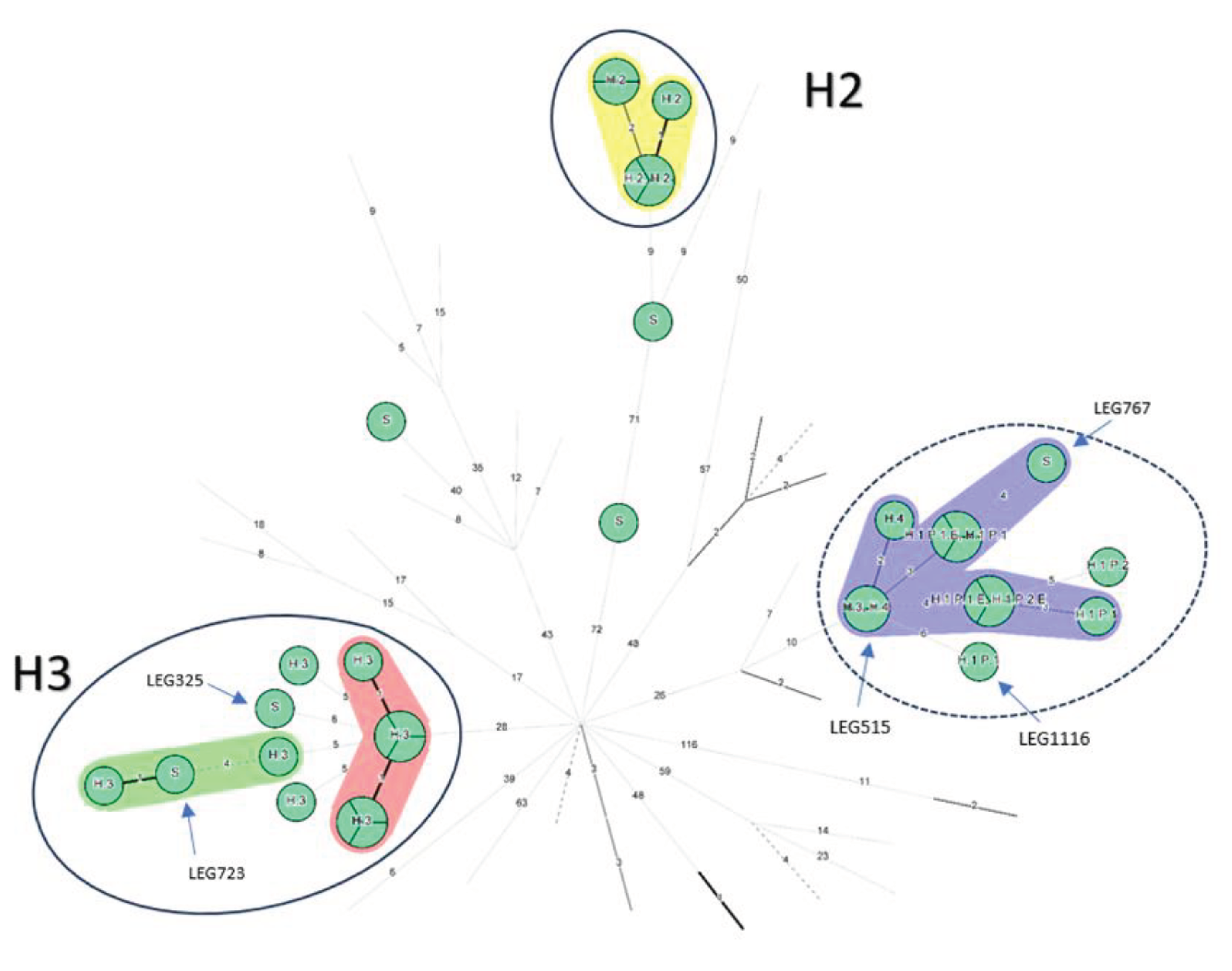 Preprints 102660 g001b