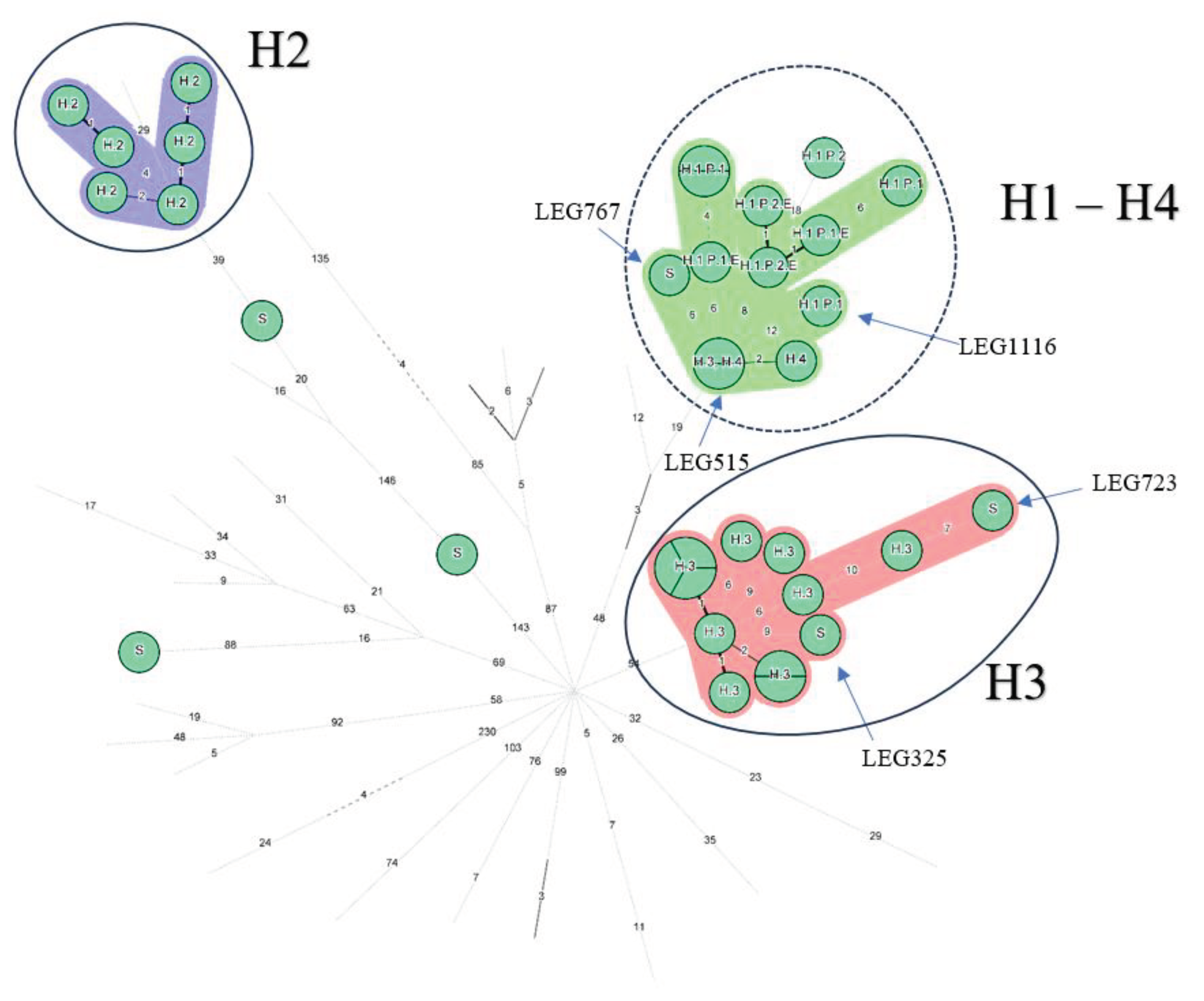 Preprints 102660 g003b