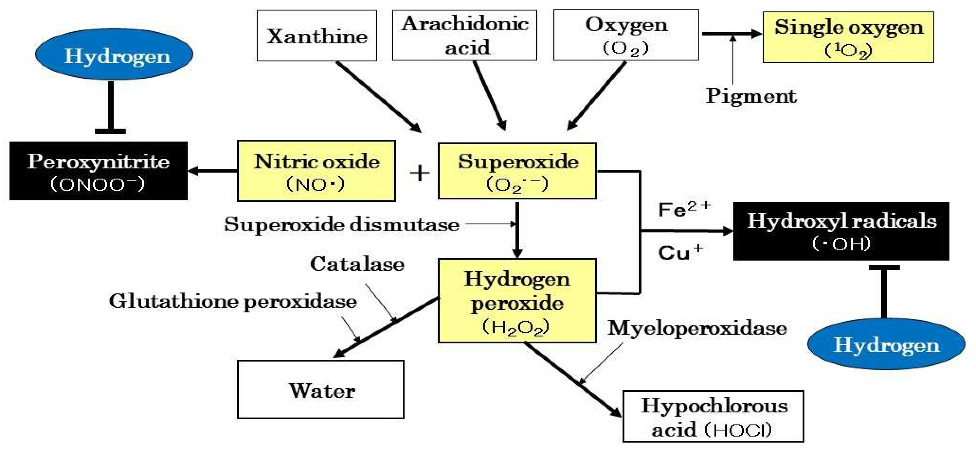 Preprints 83988 g001