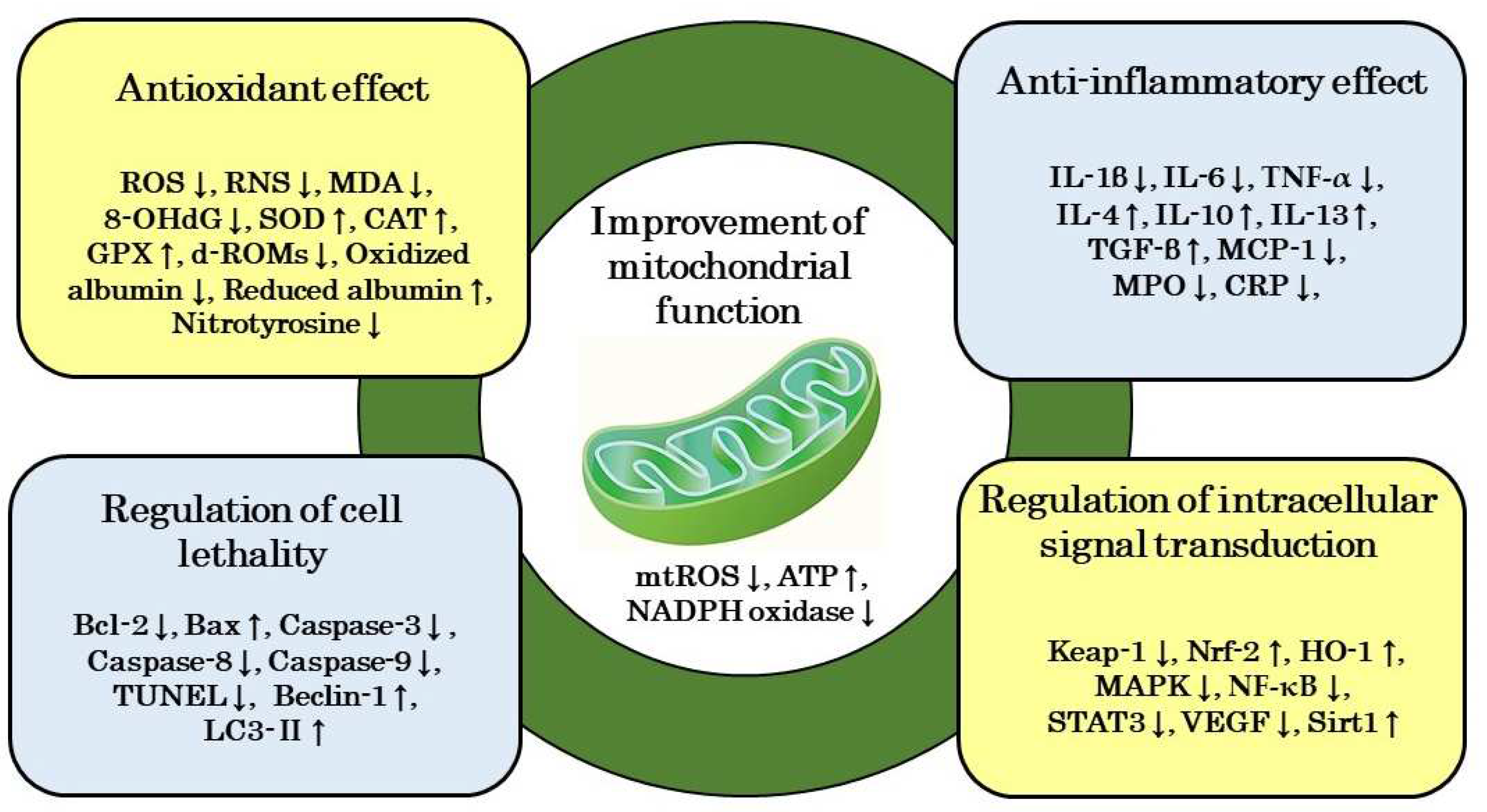 Preprints 83988 g002