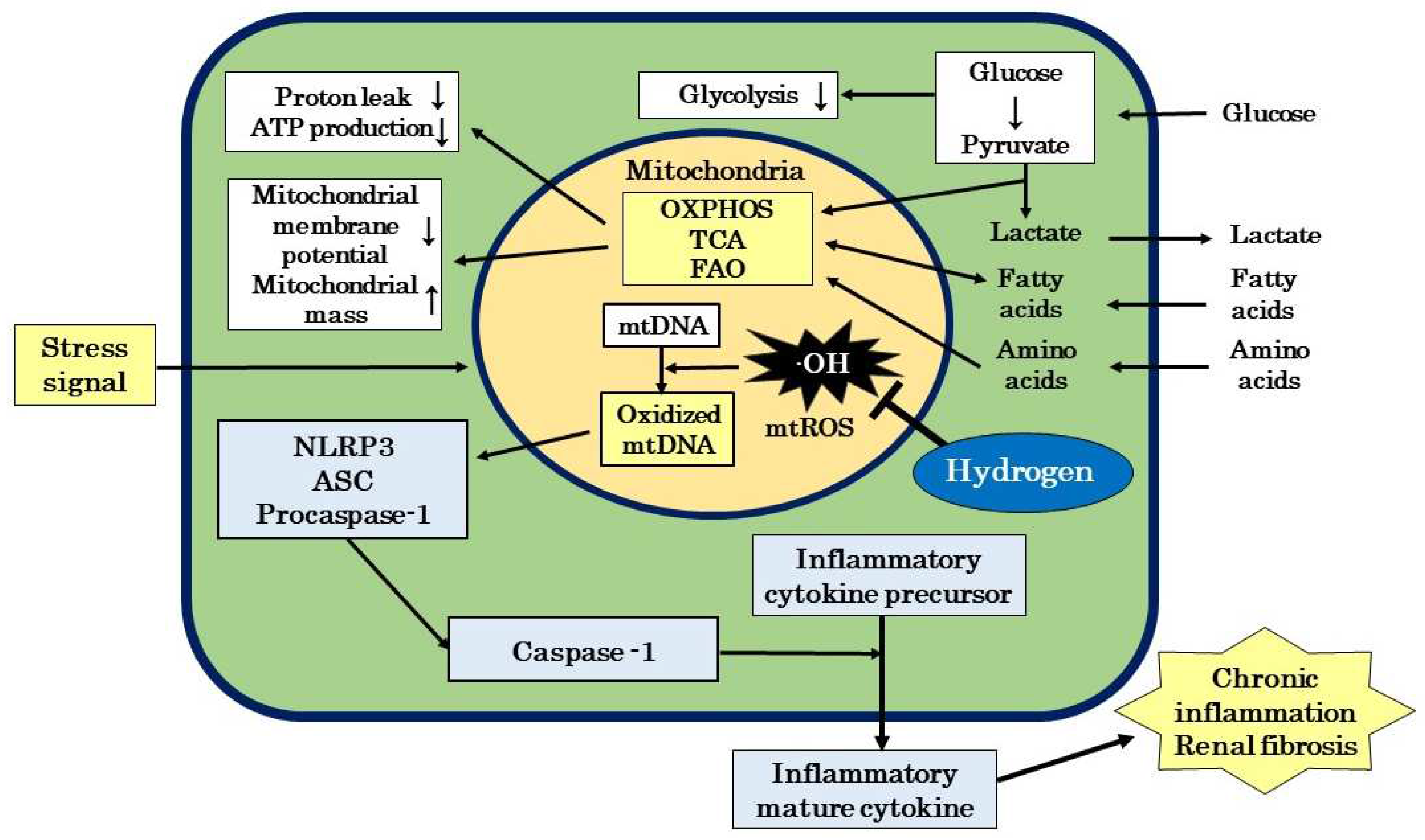 Preprints 83988 g003