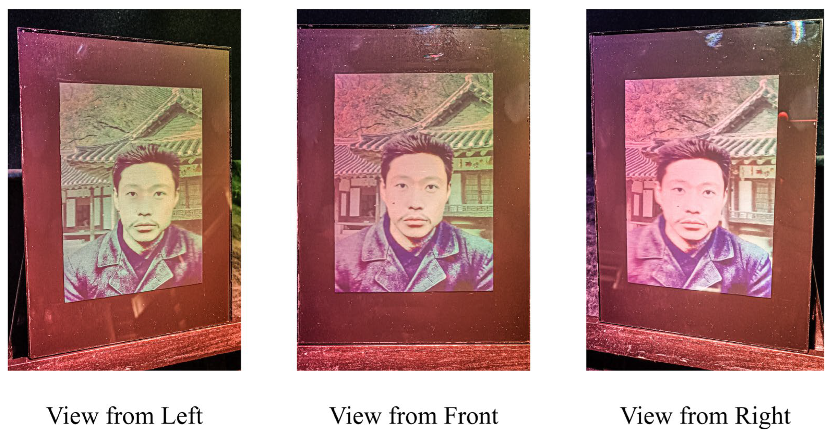 Preprints 155909 g010