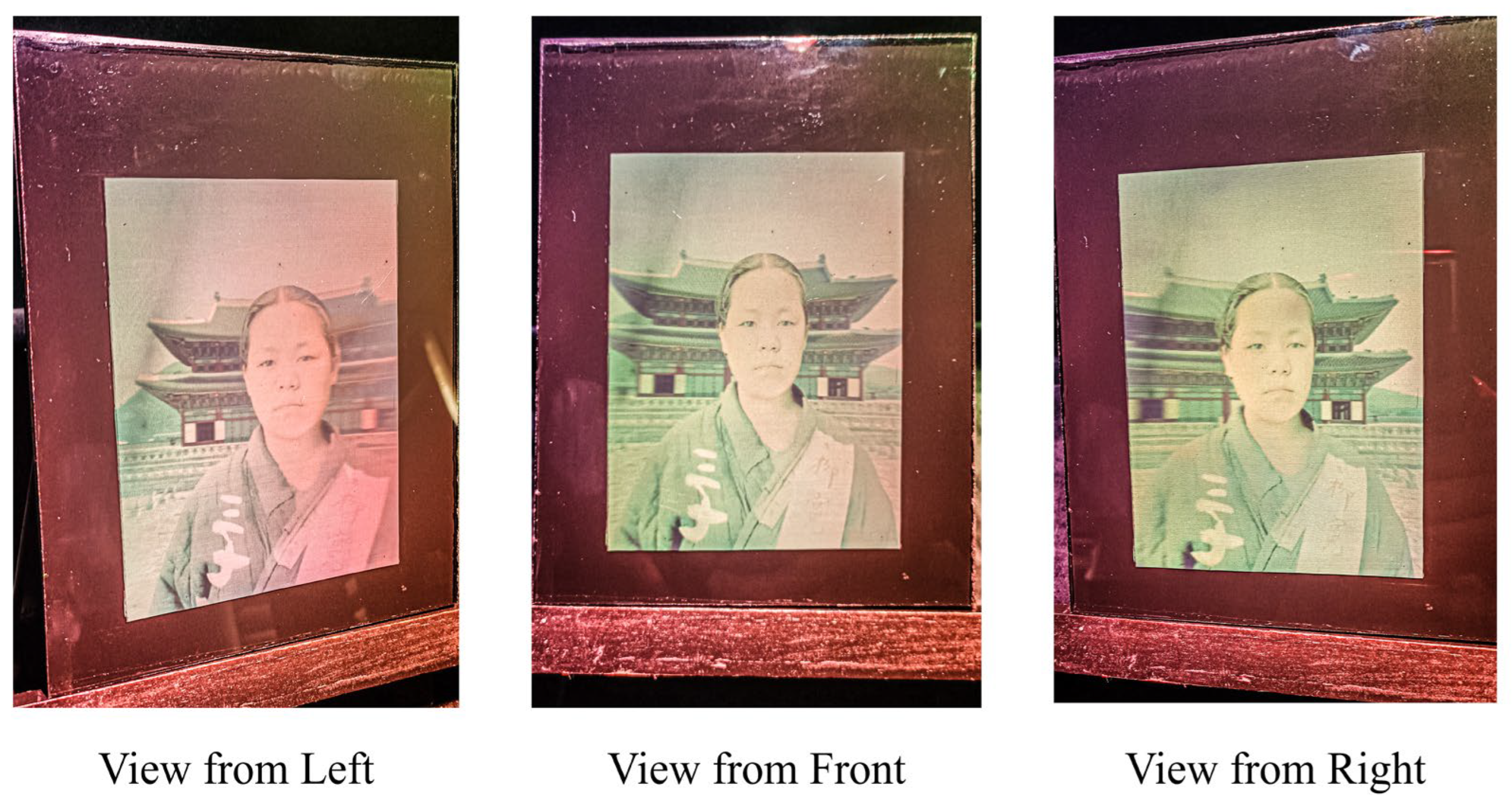 Preprints 155909 g011