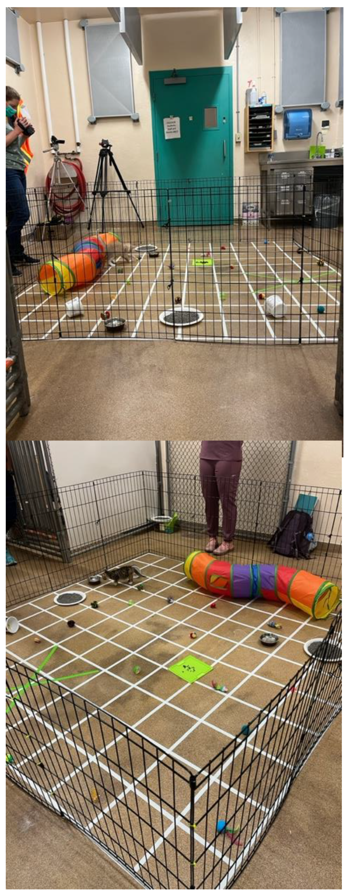 Preprints 141742 g001