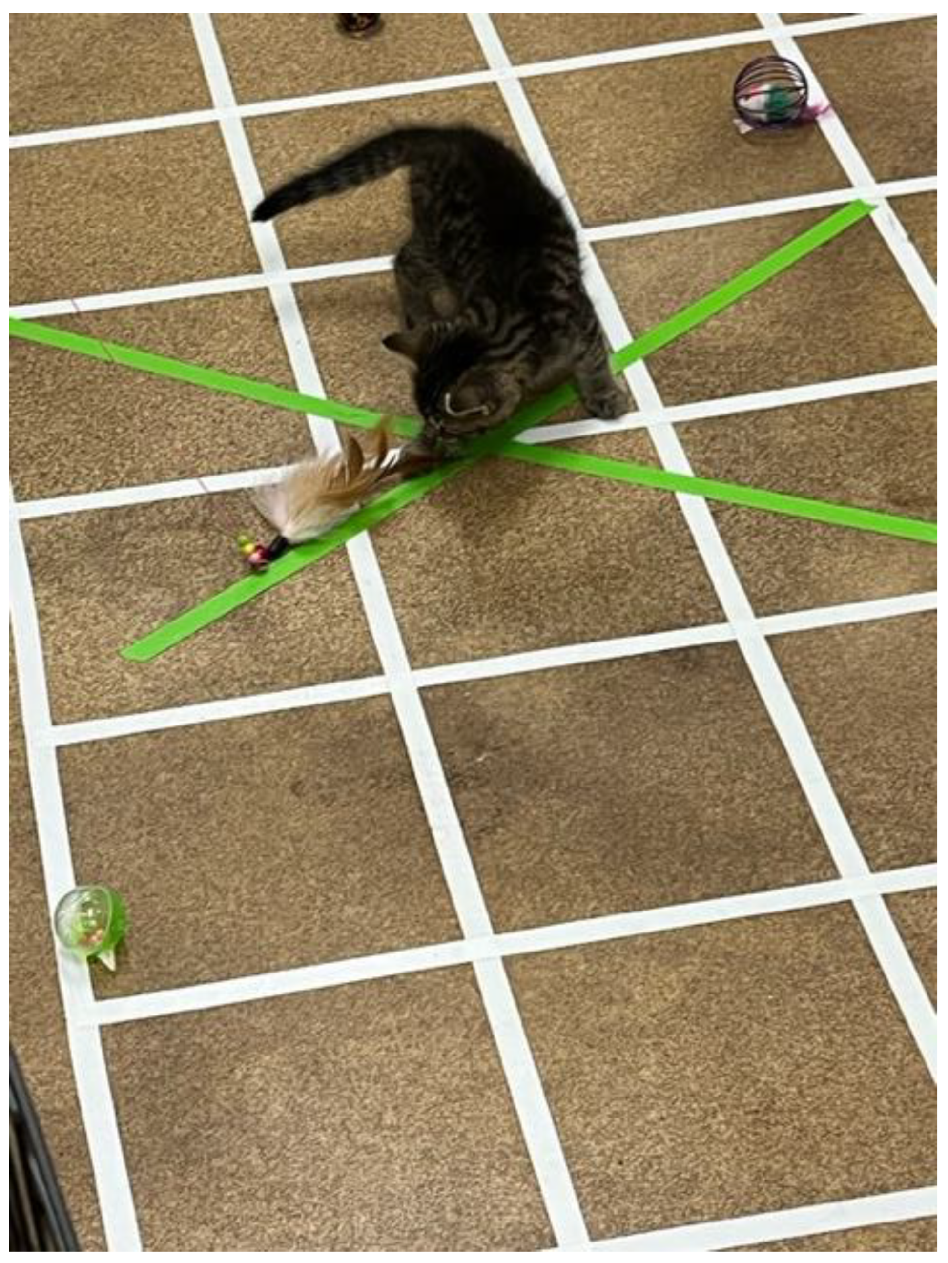 Preprints 141742 g002