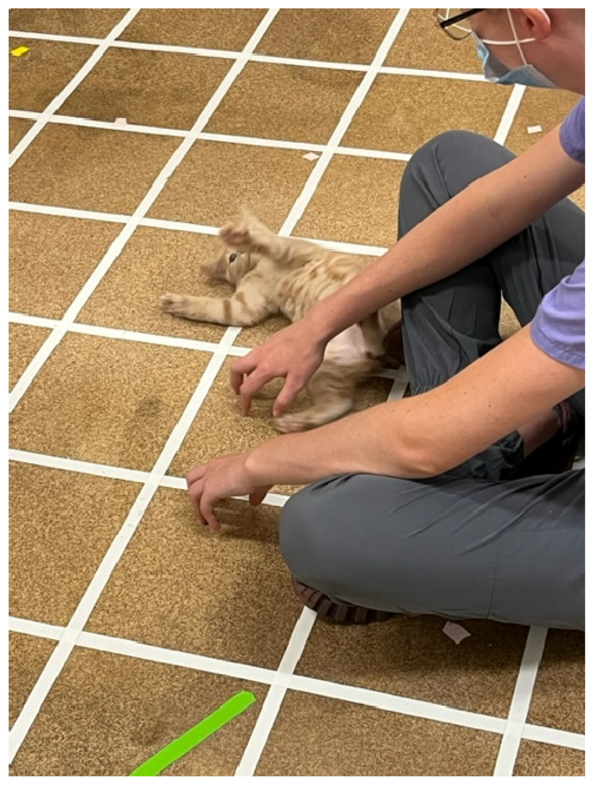 Preprints 141742 g003