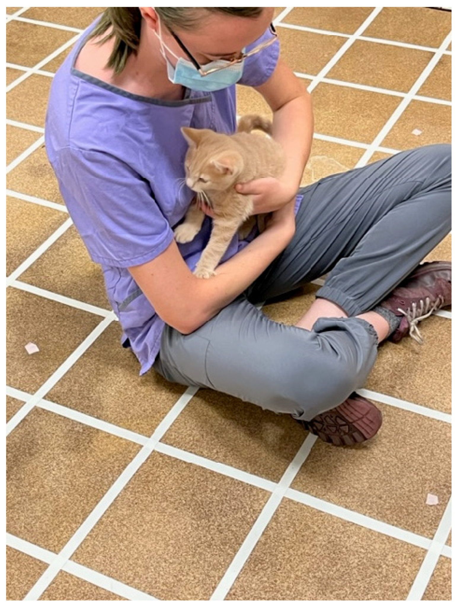 Preprints 141742 g004