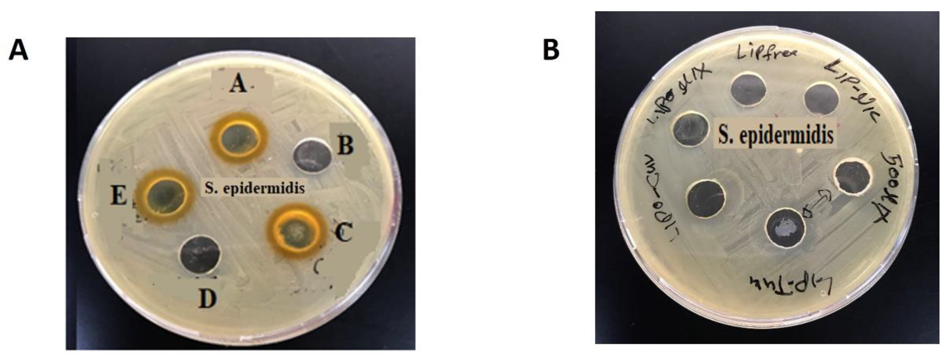 Preprints 142753 g004