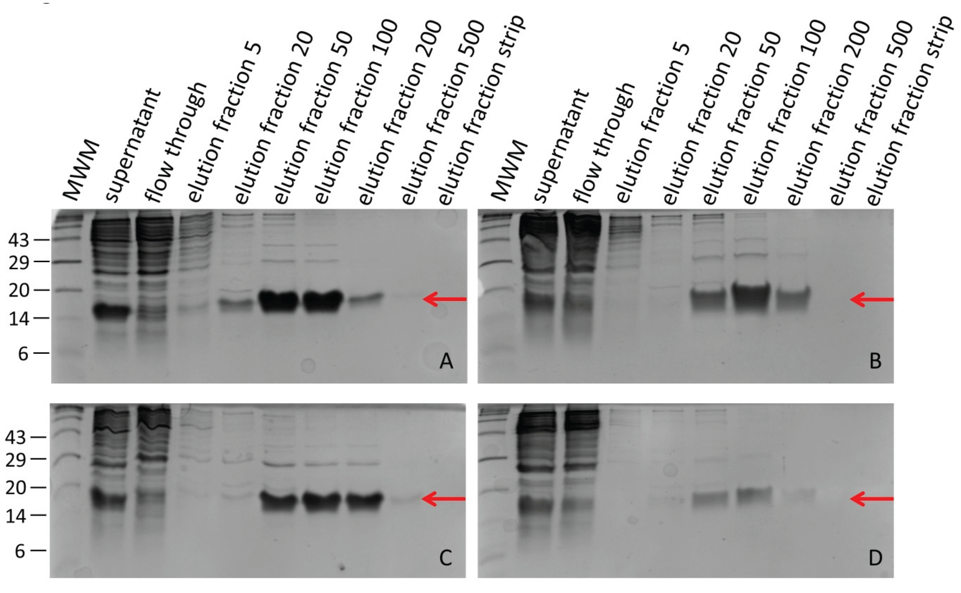 Preprints 162627 g001