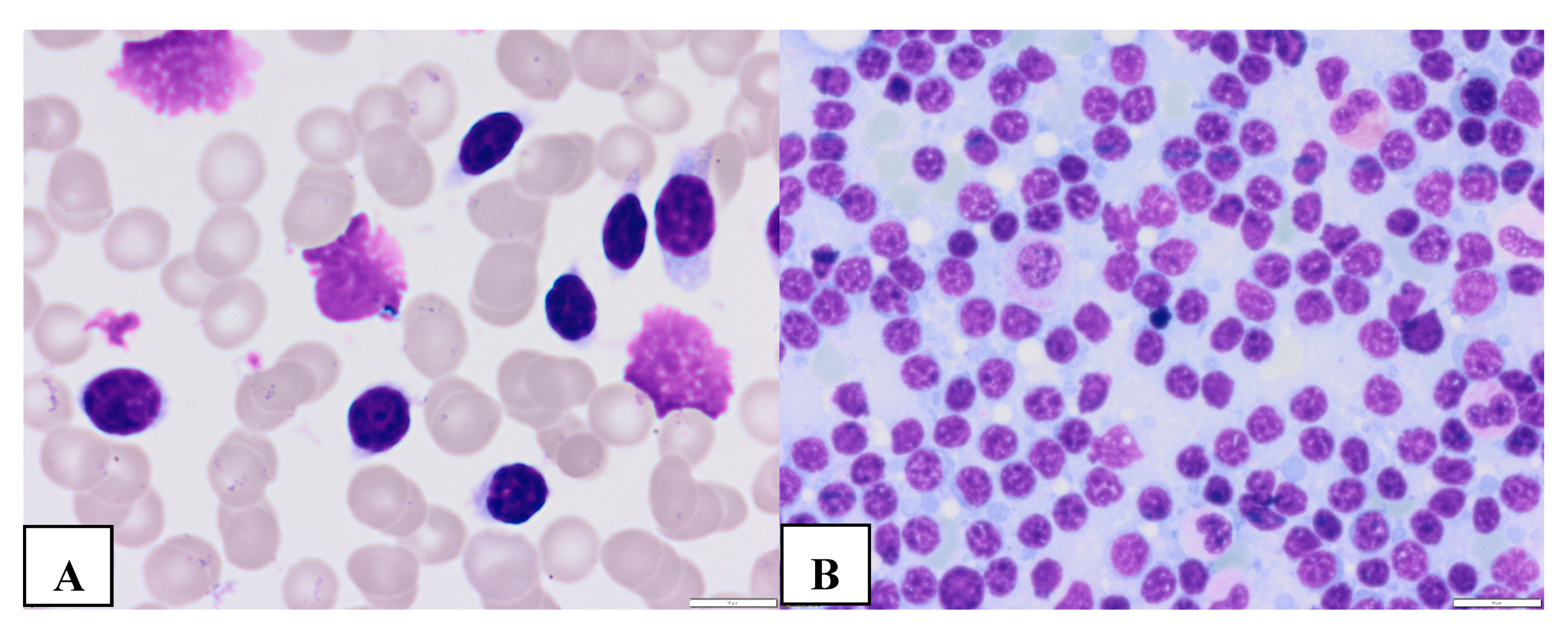 Preprints 80108 g001a