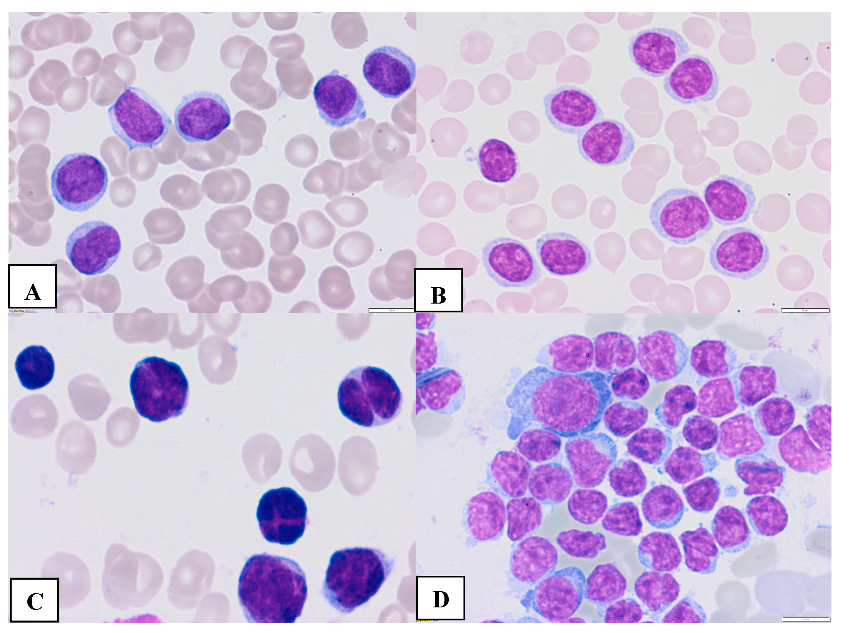 Preprints 80108 g002