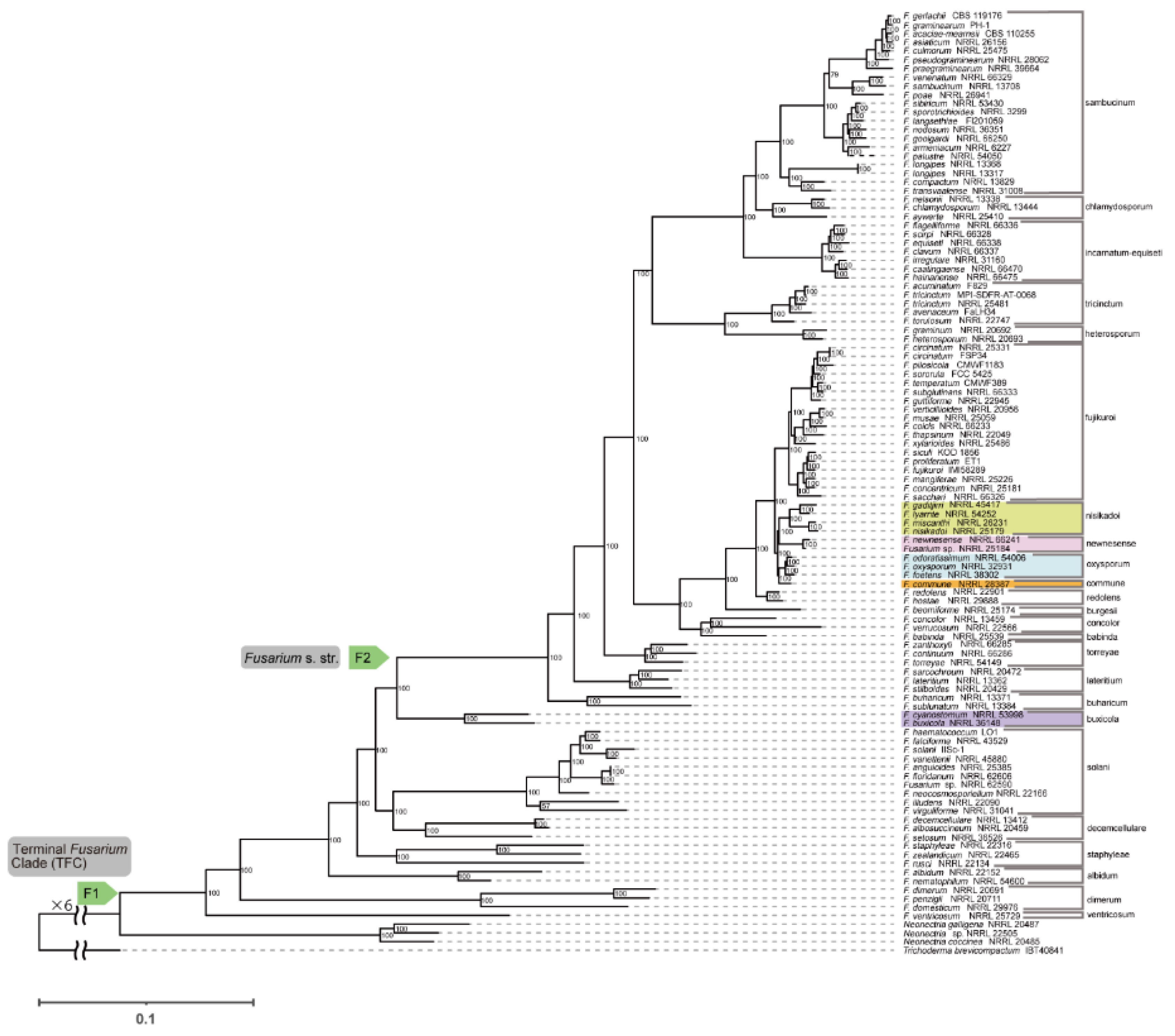 Preprints 185490 g001