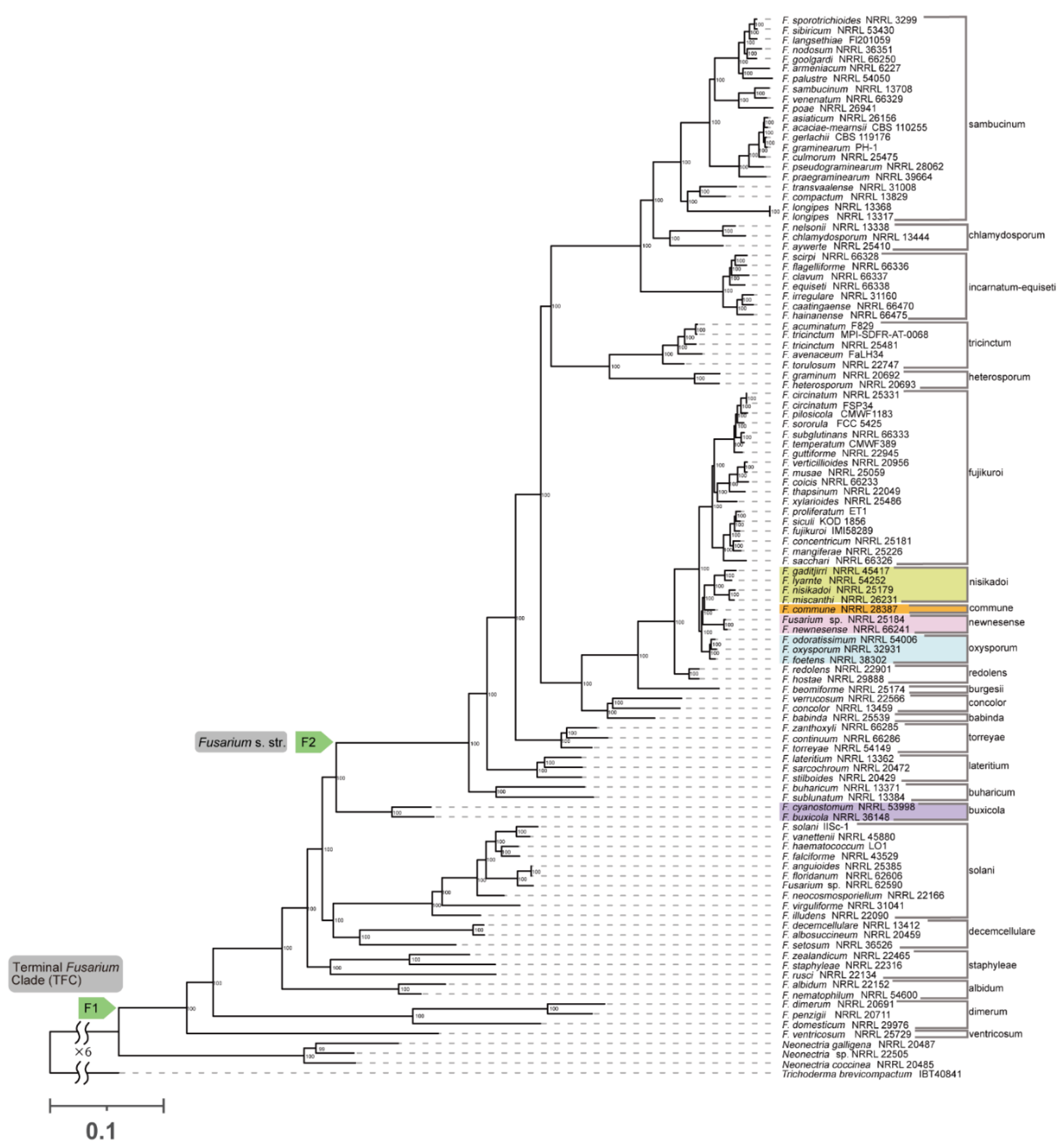 Preprints 185490 g003