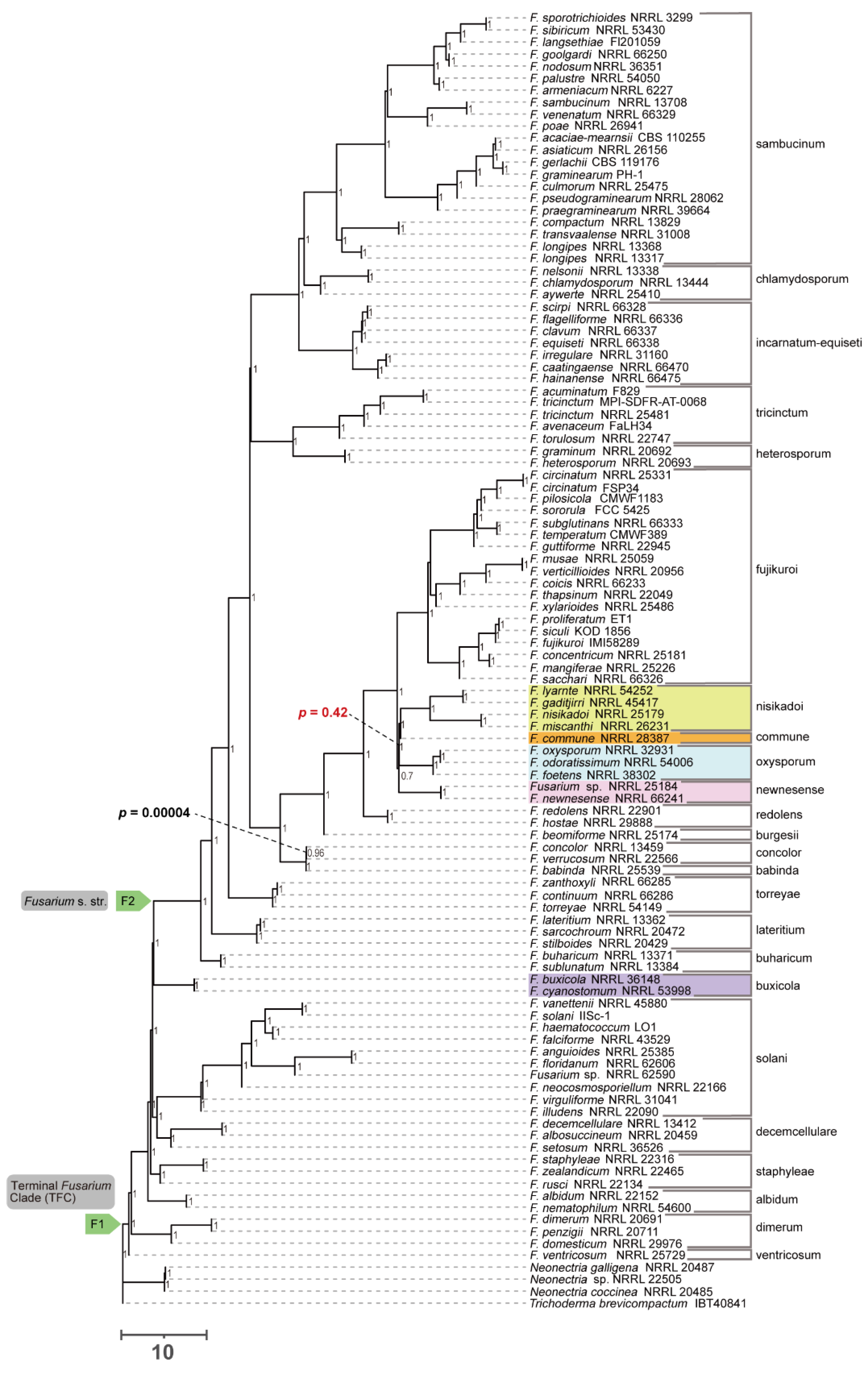 Preprints 185490 g004