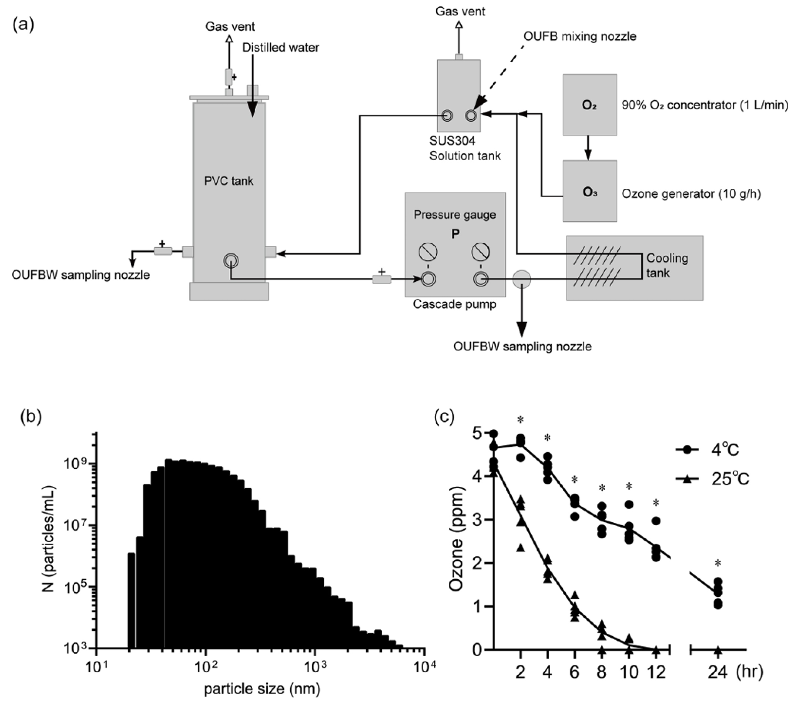 Preprints 182611 g009