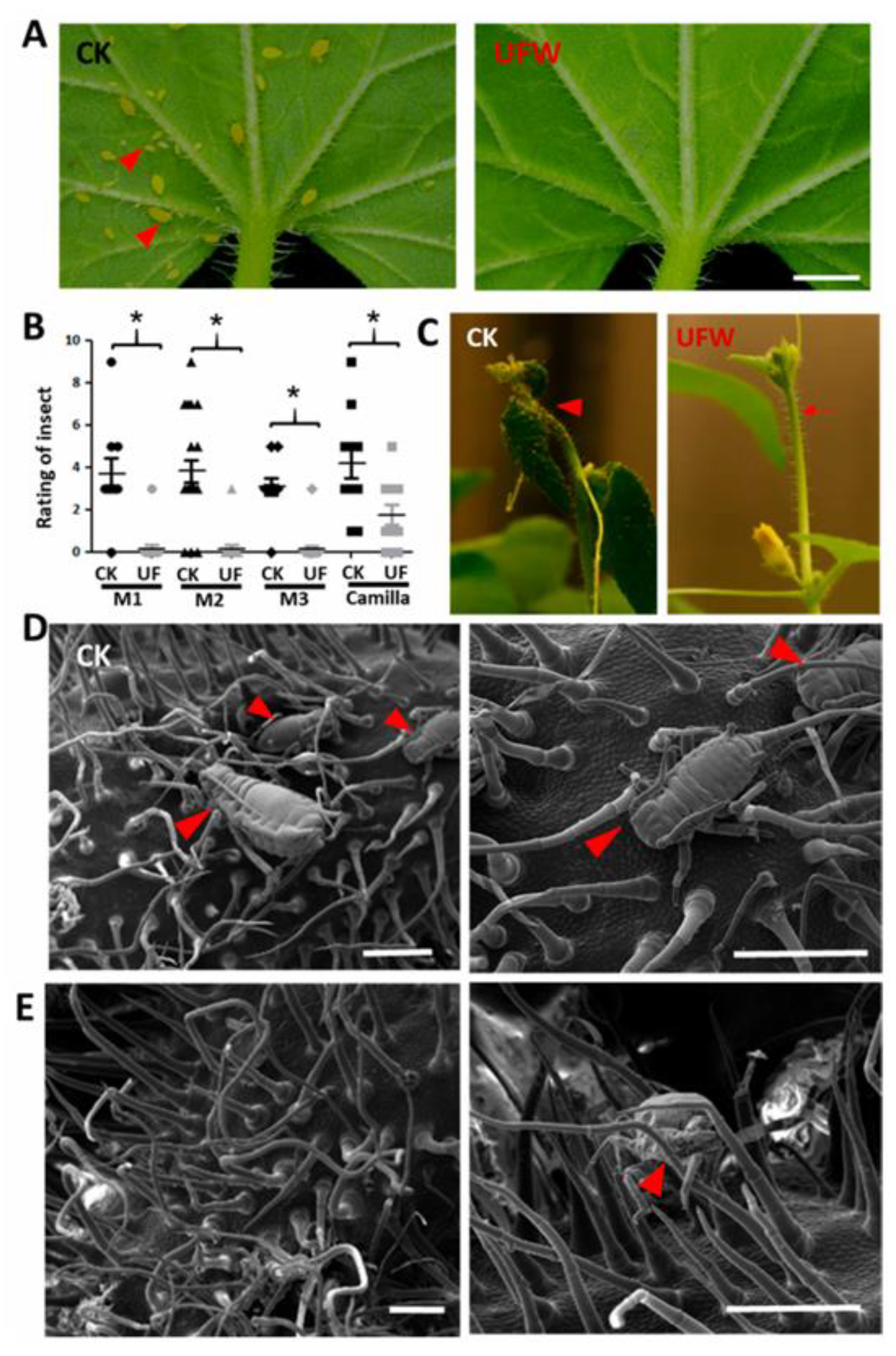 Preprints 182611 g010
