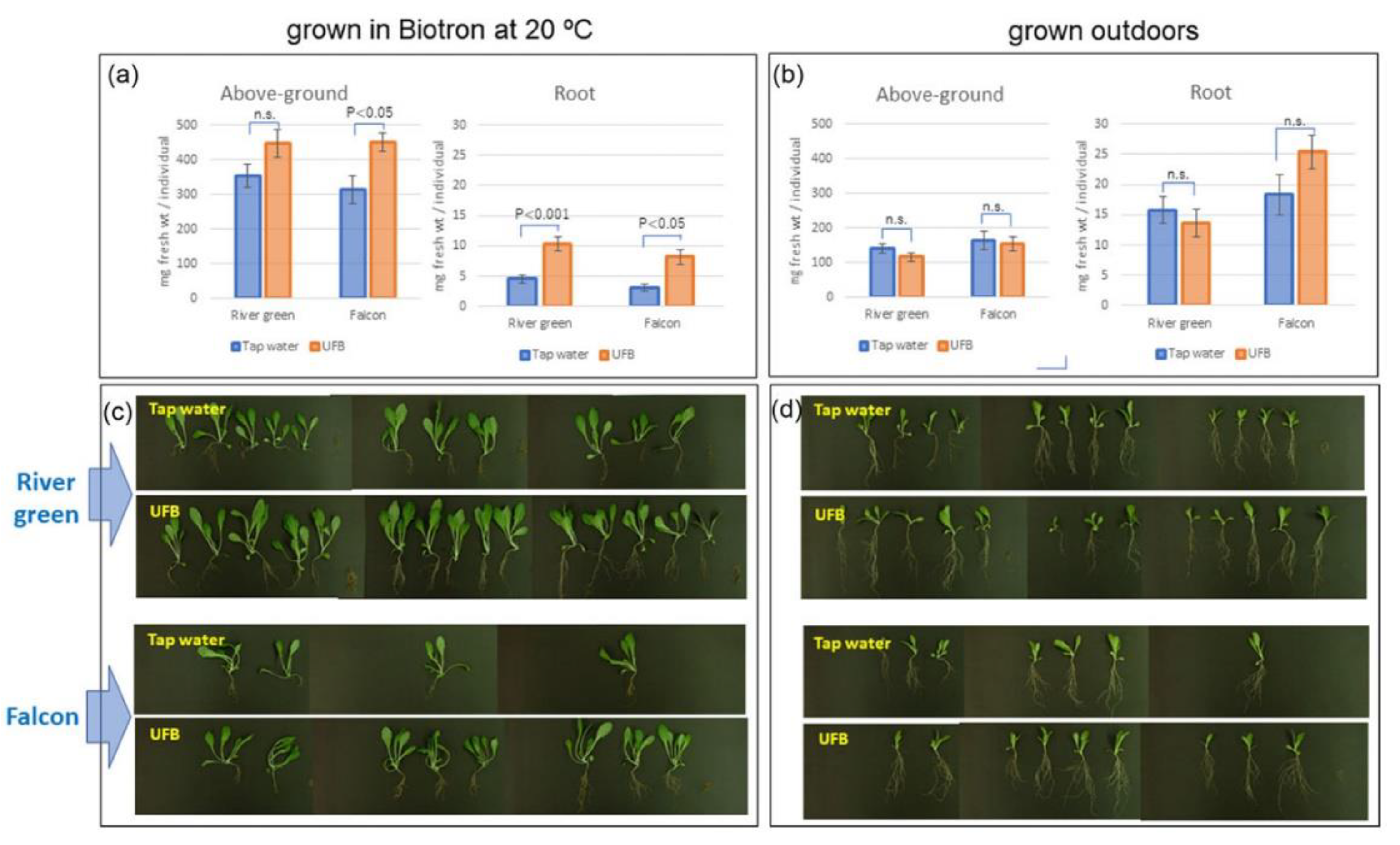 Preprints 182611 g017