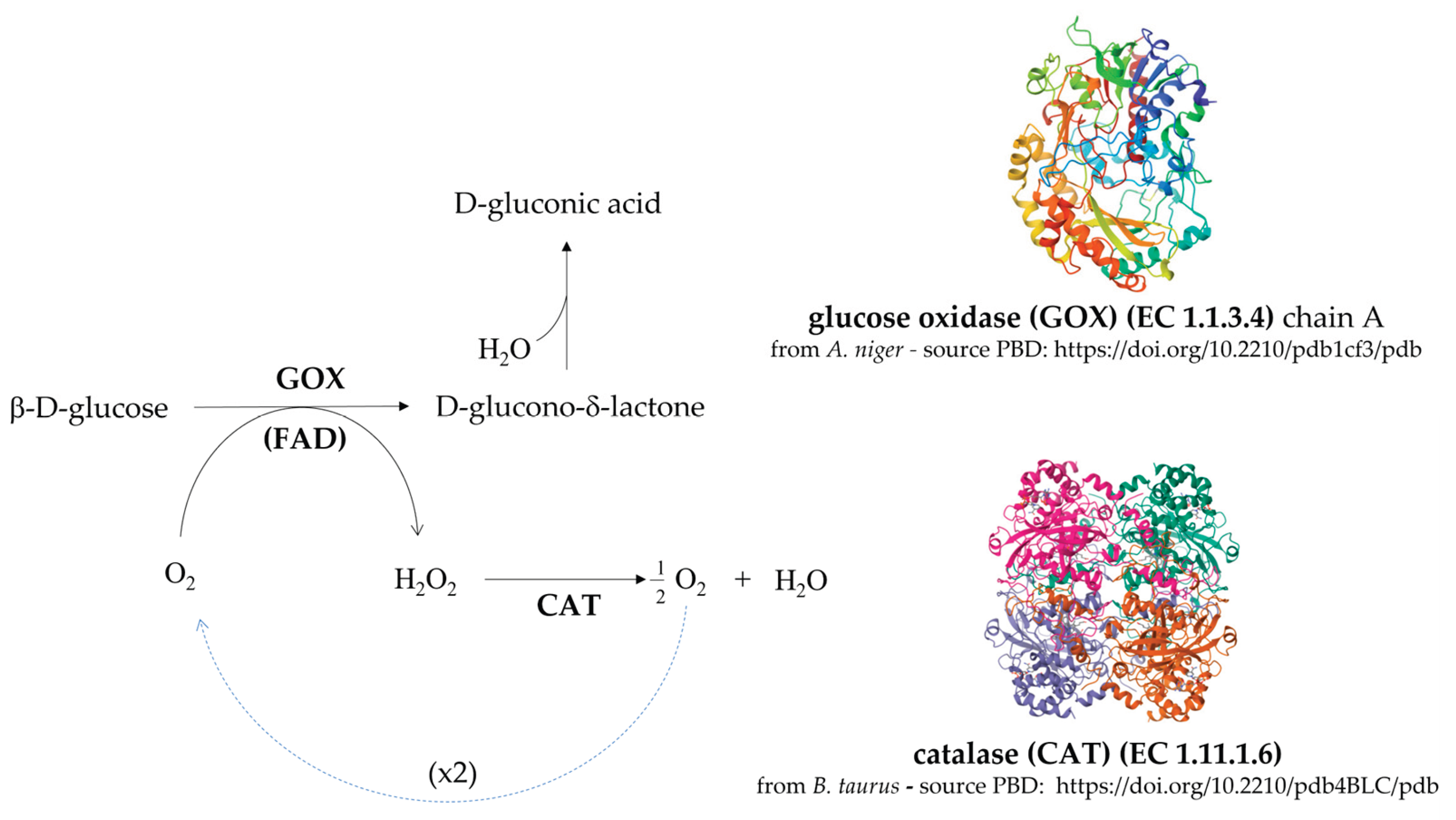 Preprints 165399 g002