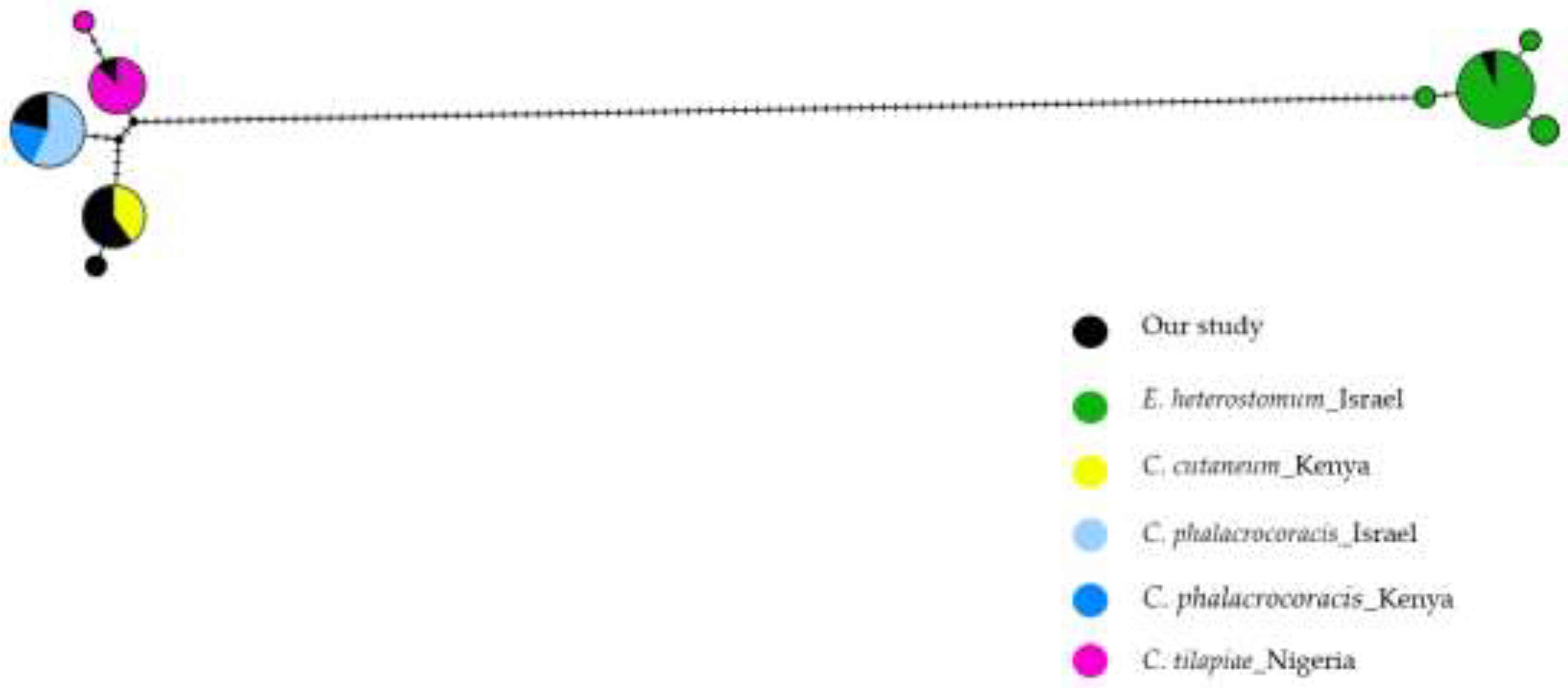 Preprints 148194 g005