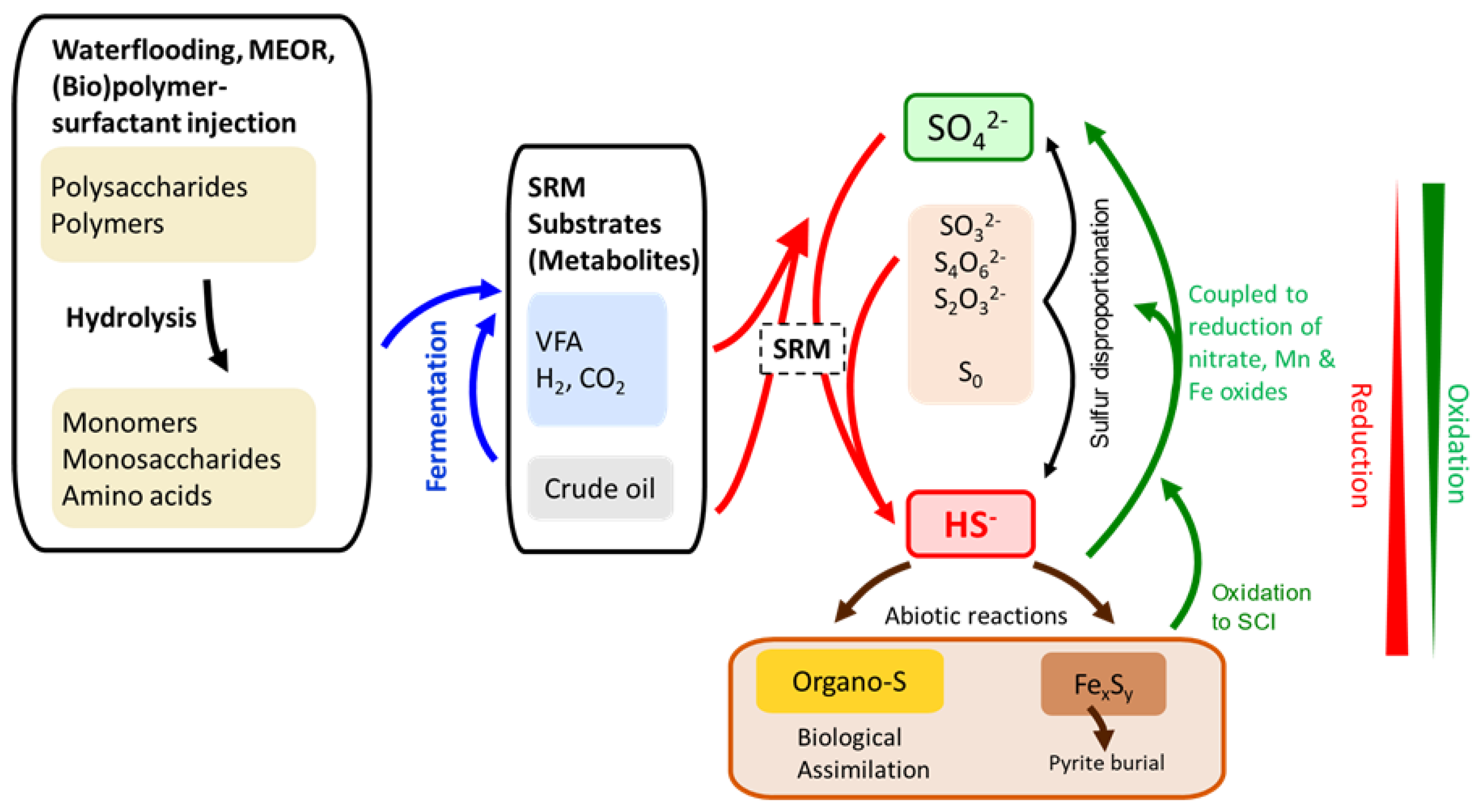Preprints 105106 g001