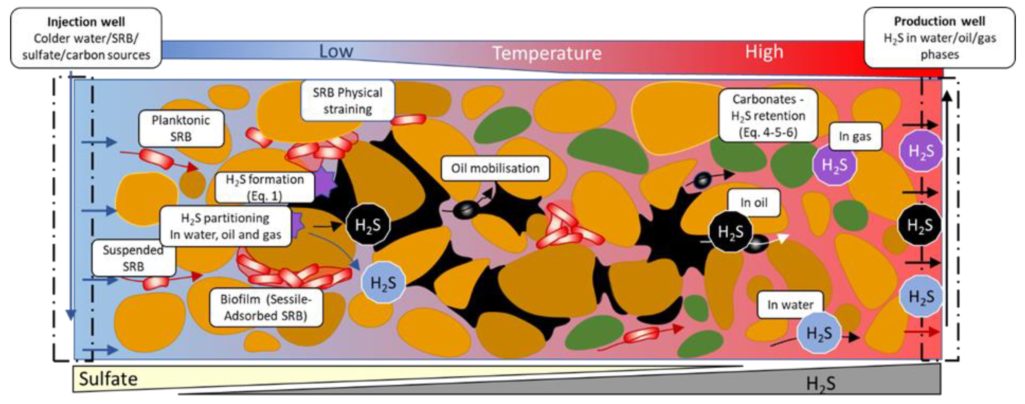 Preprints 105106 g006