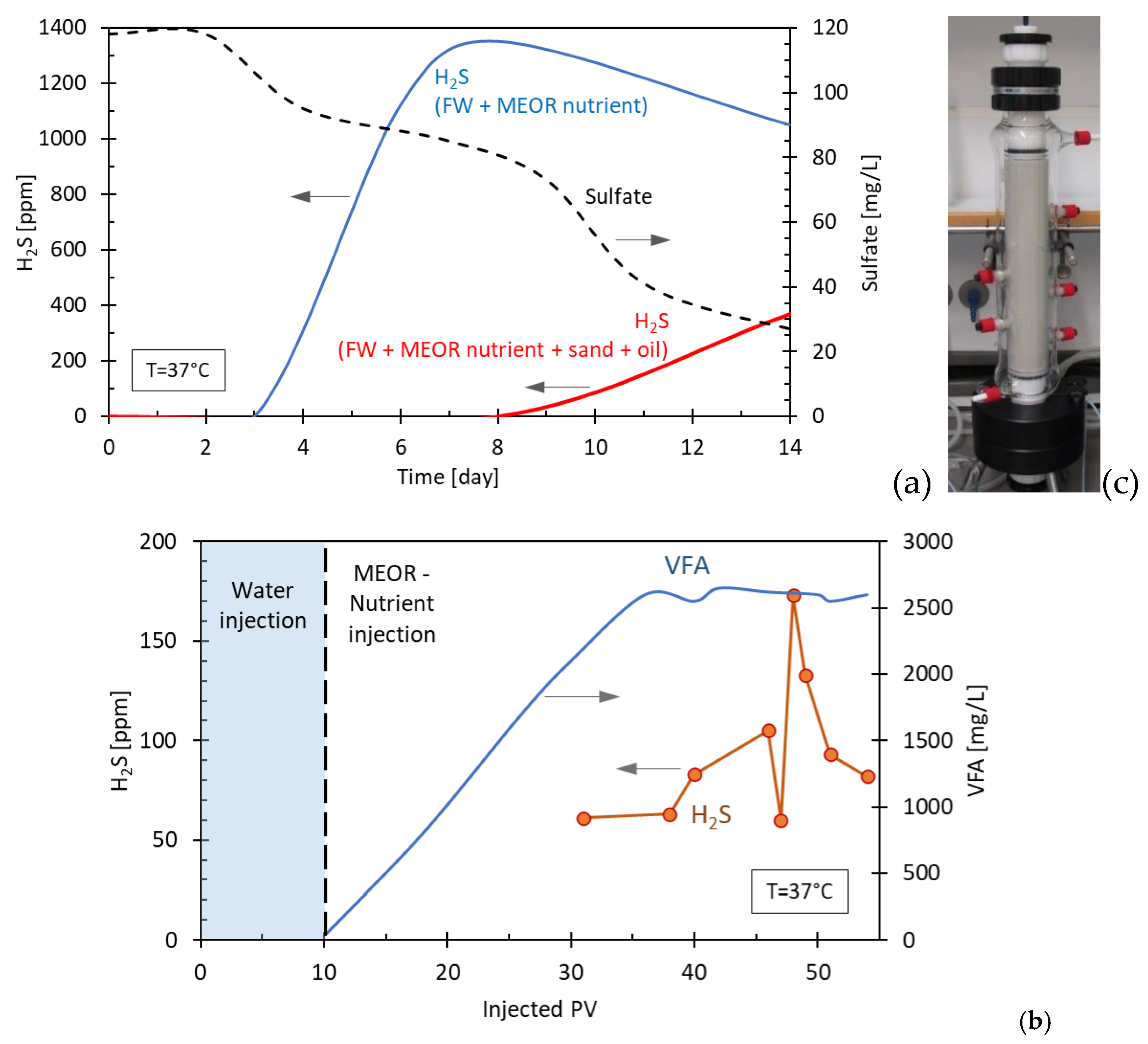Preprints 105106 g009