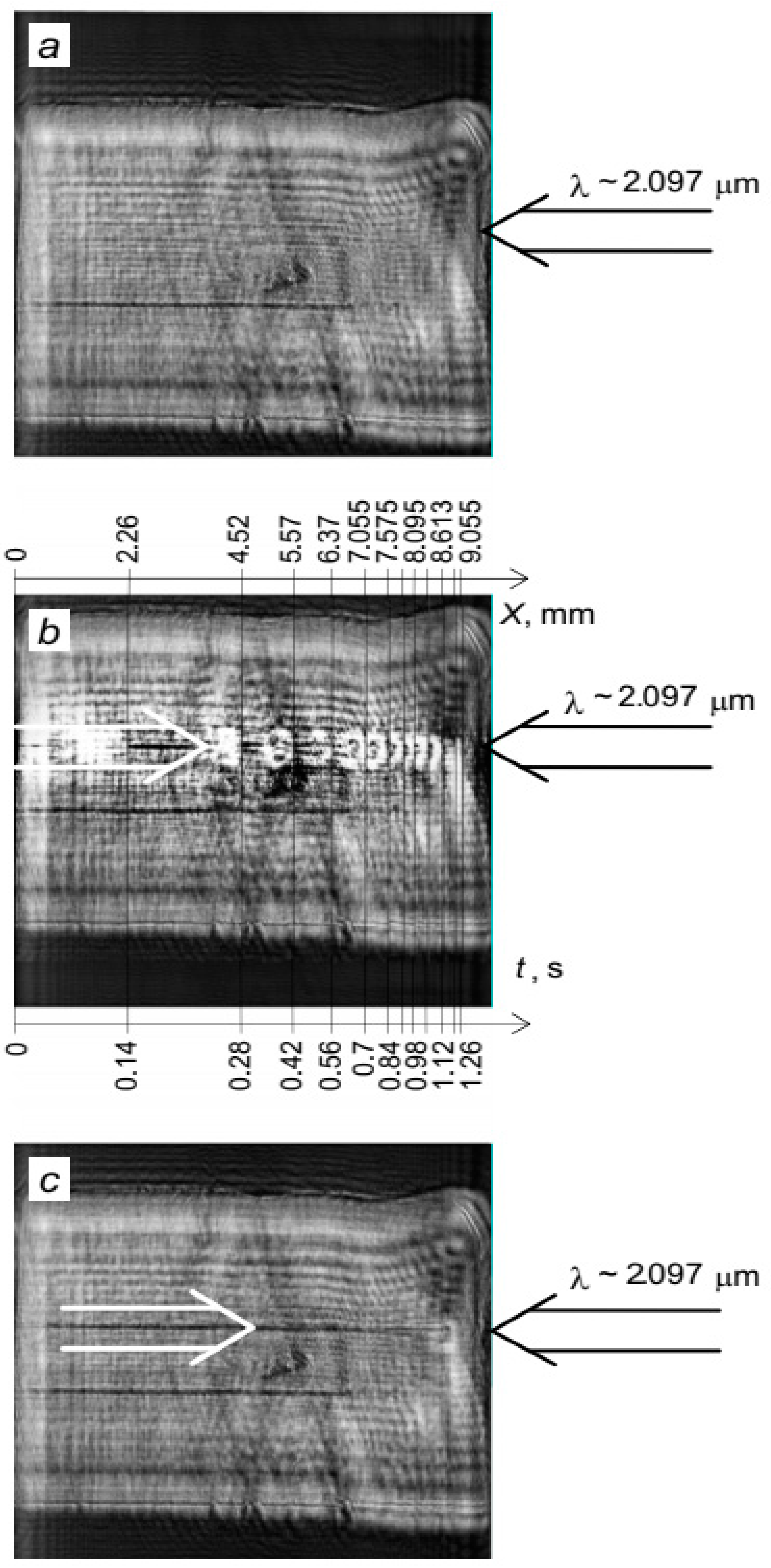 Preprints 90444 g010